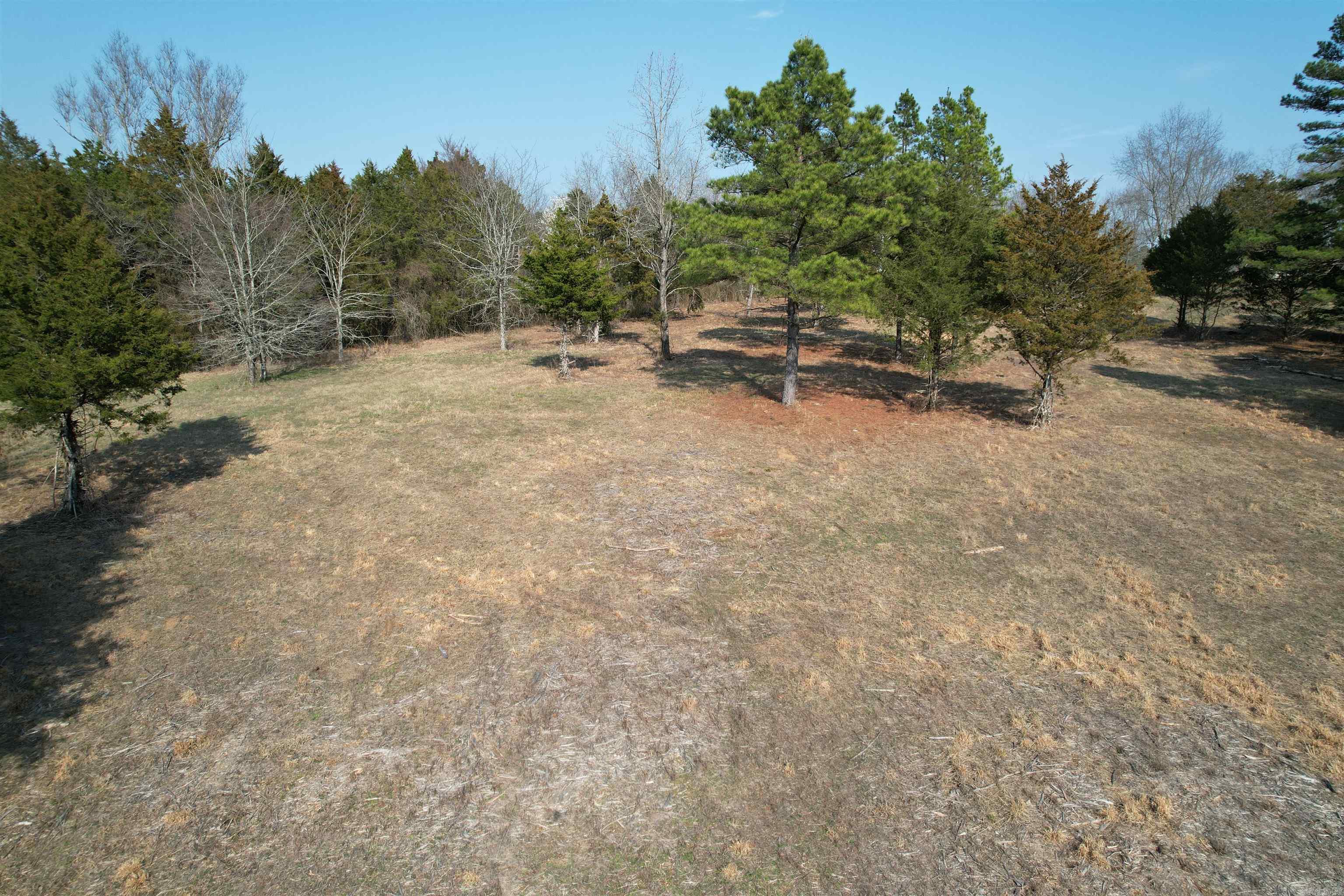 383 Bloodworth Road Property Photo 12