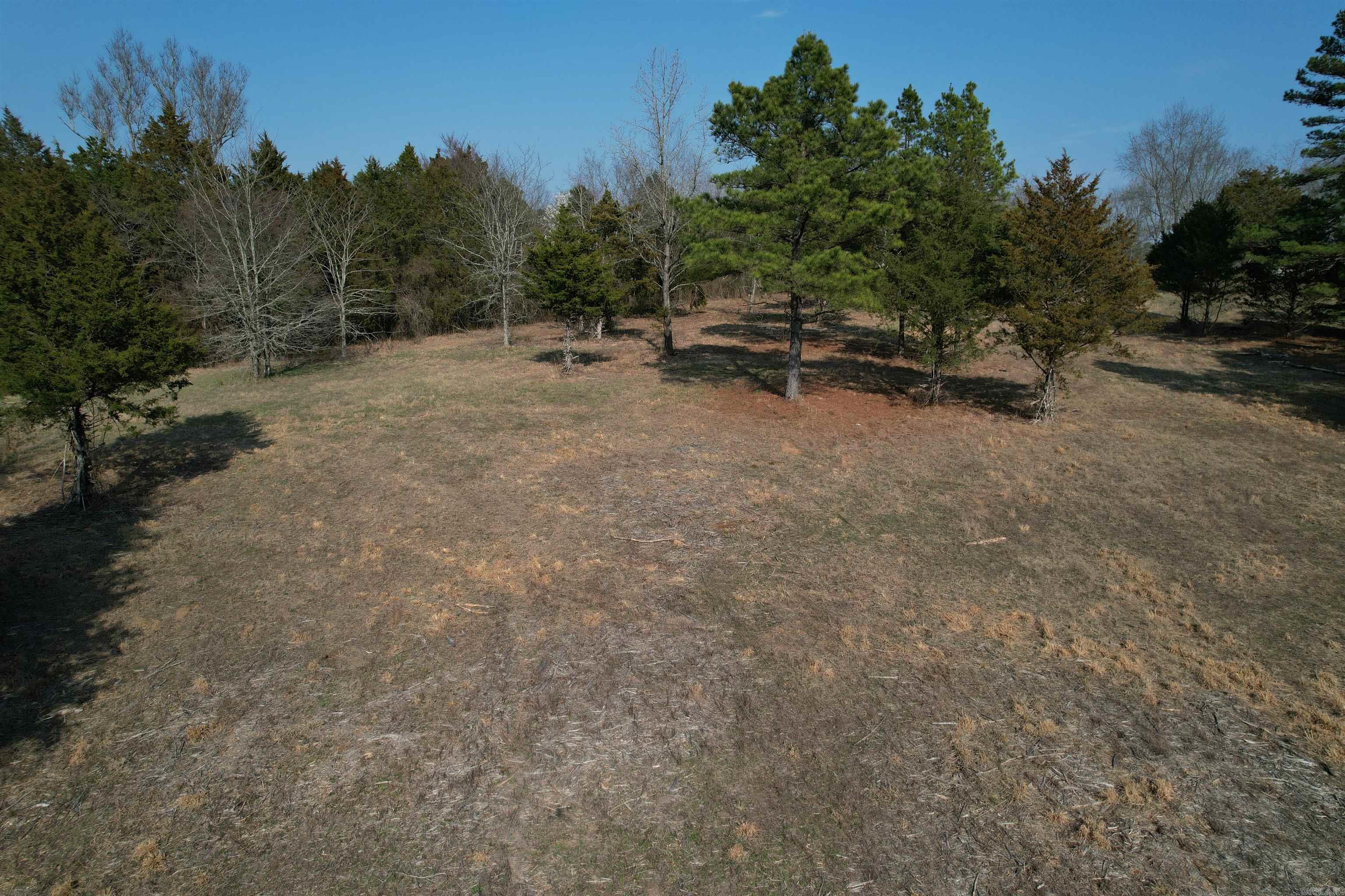 383 Bloodworth Road Property Photo 13