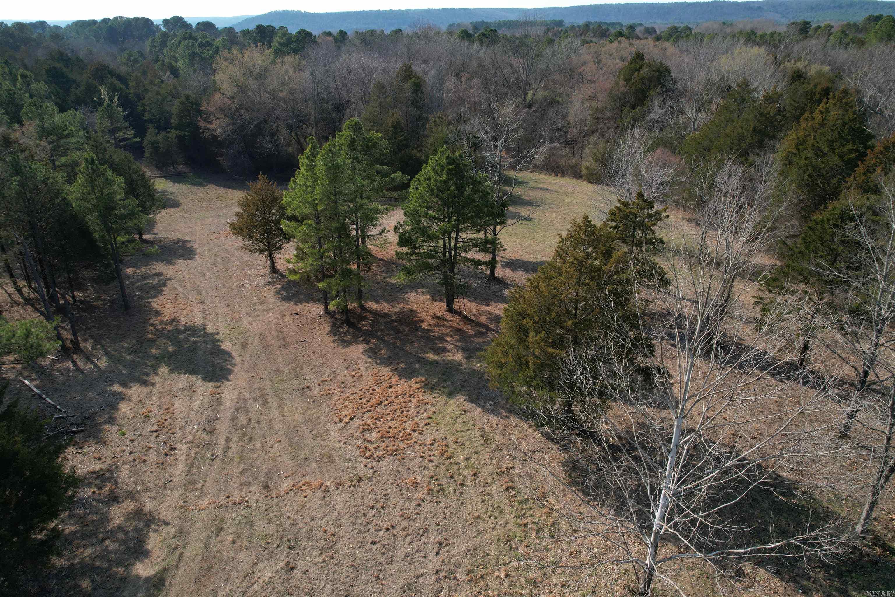 383 Bloodworth Road Property Photo 15
