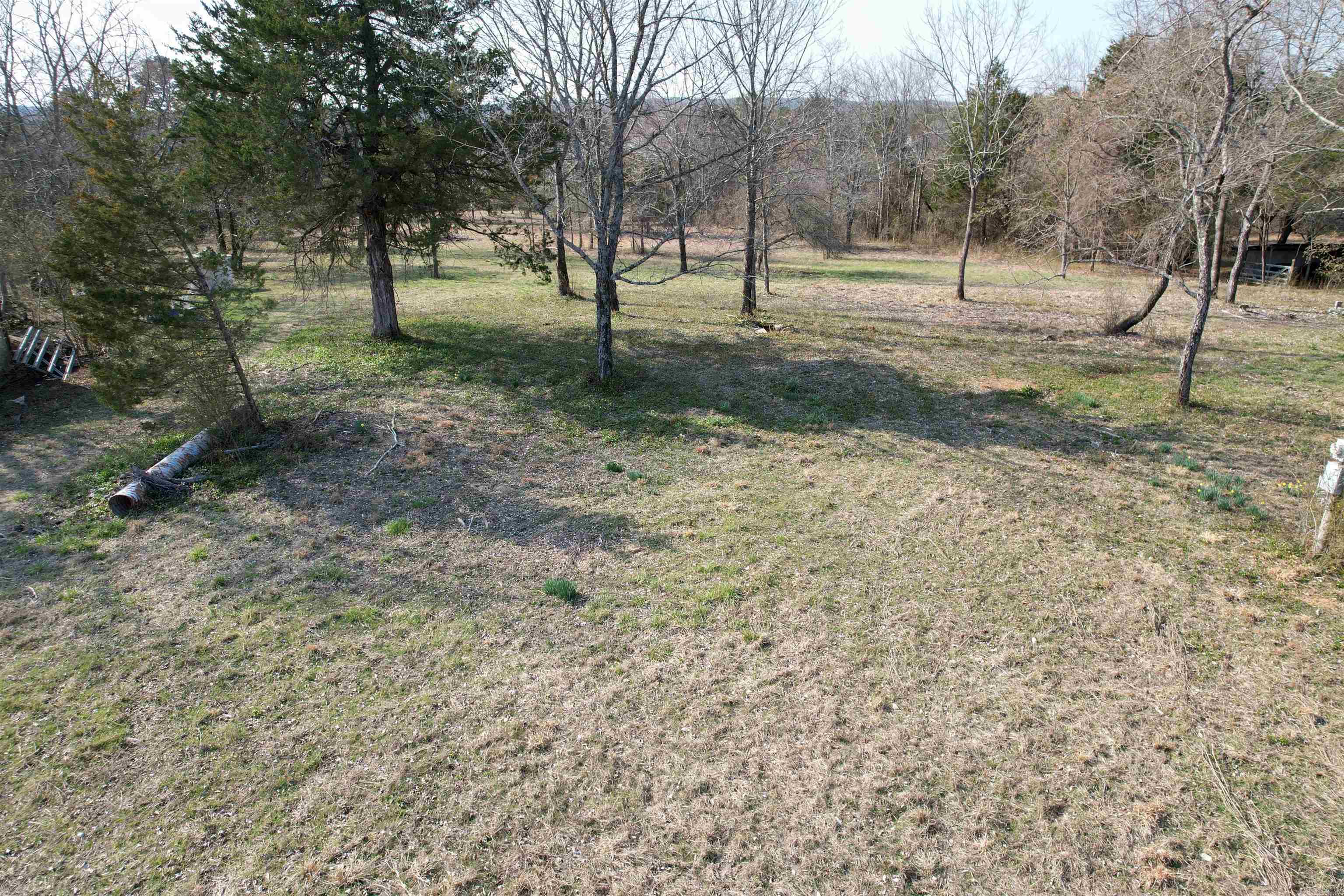 383 Bloodworth Road Property Photo 16