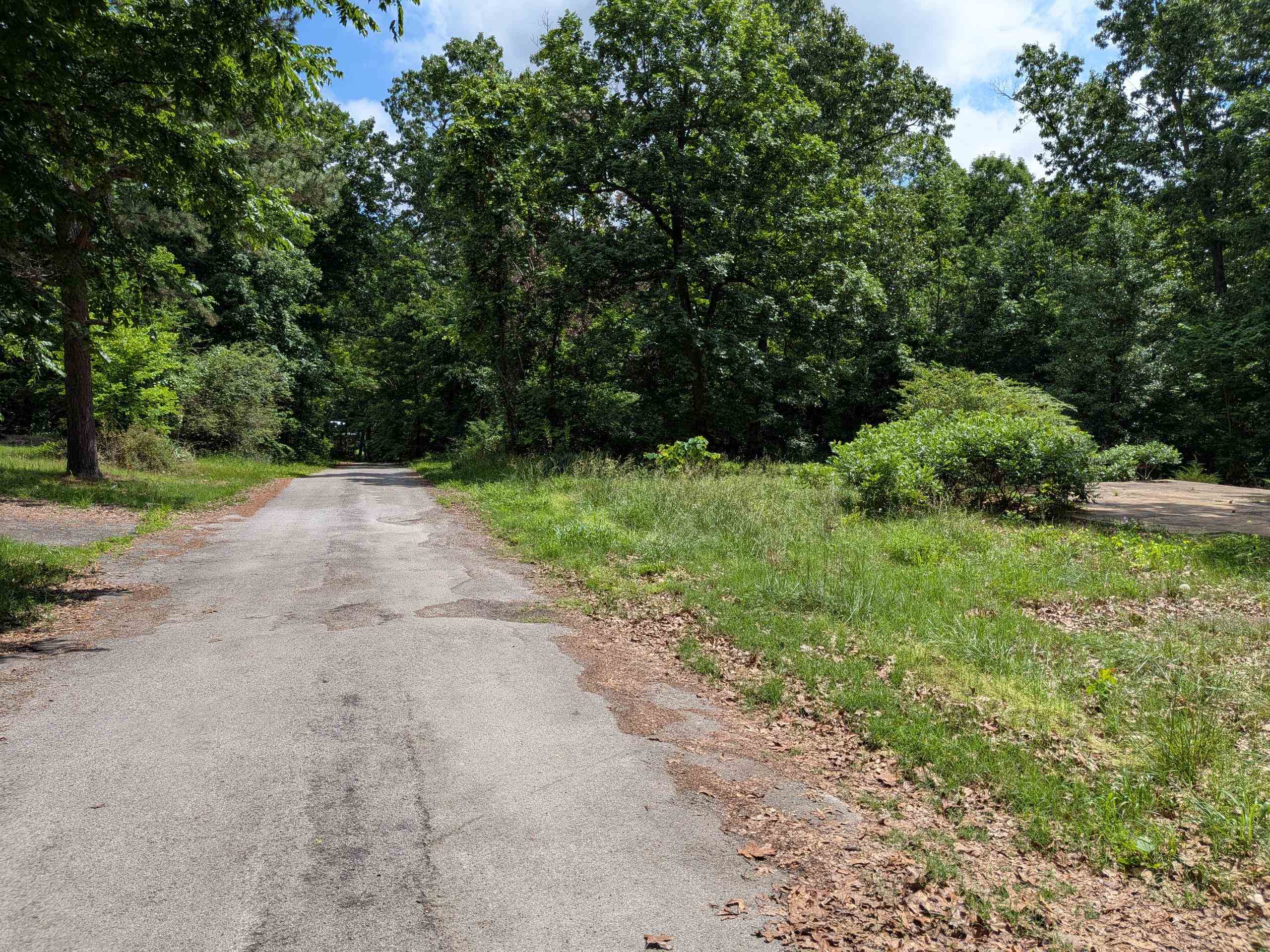 Dogwood Trail Property Photo 2