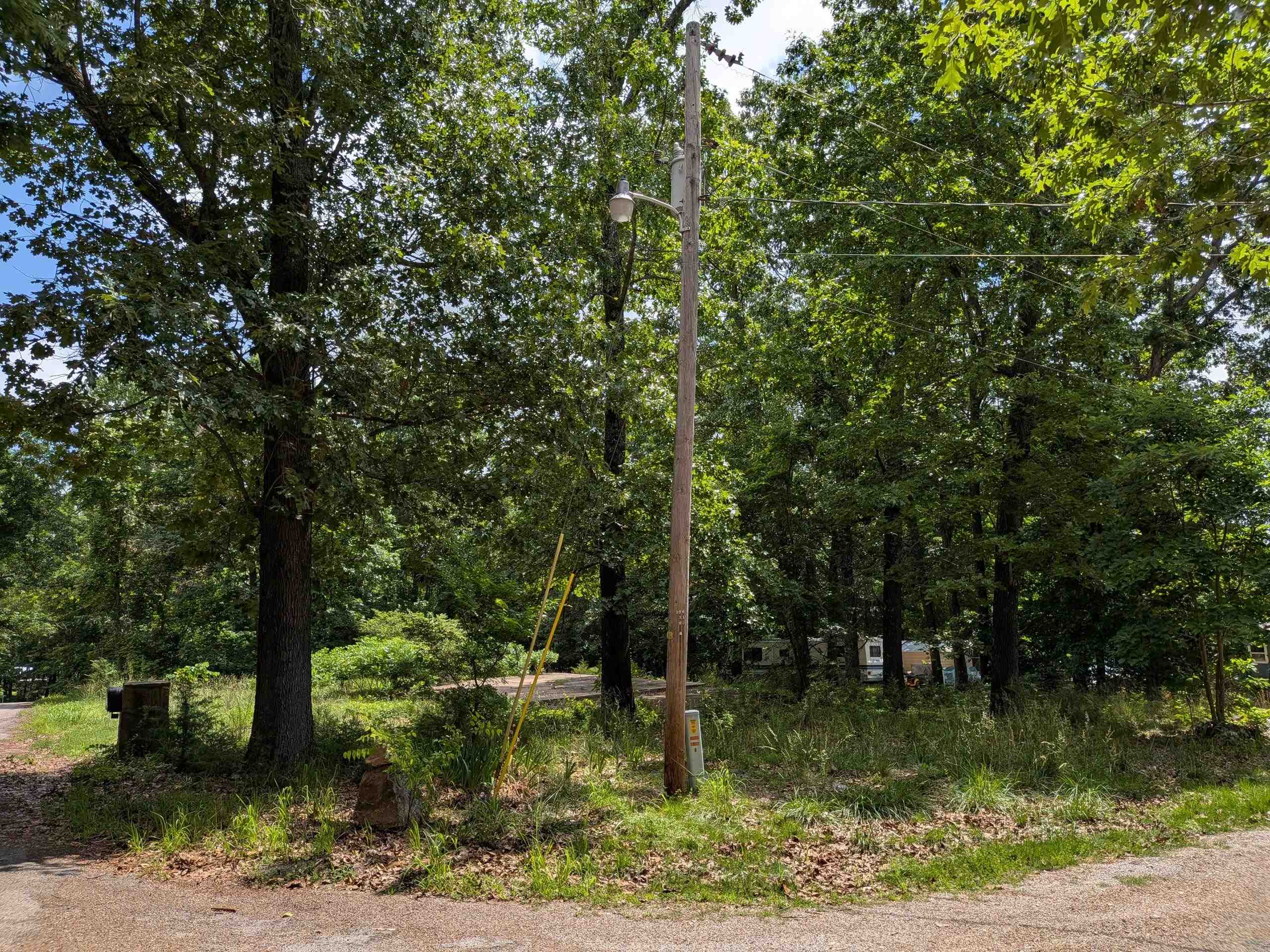 Dogwood Trail Property Photo 3