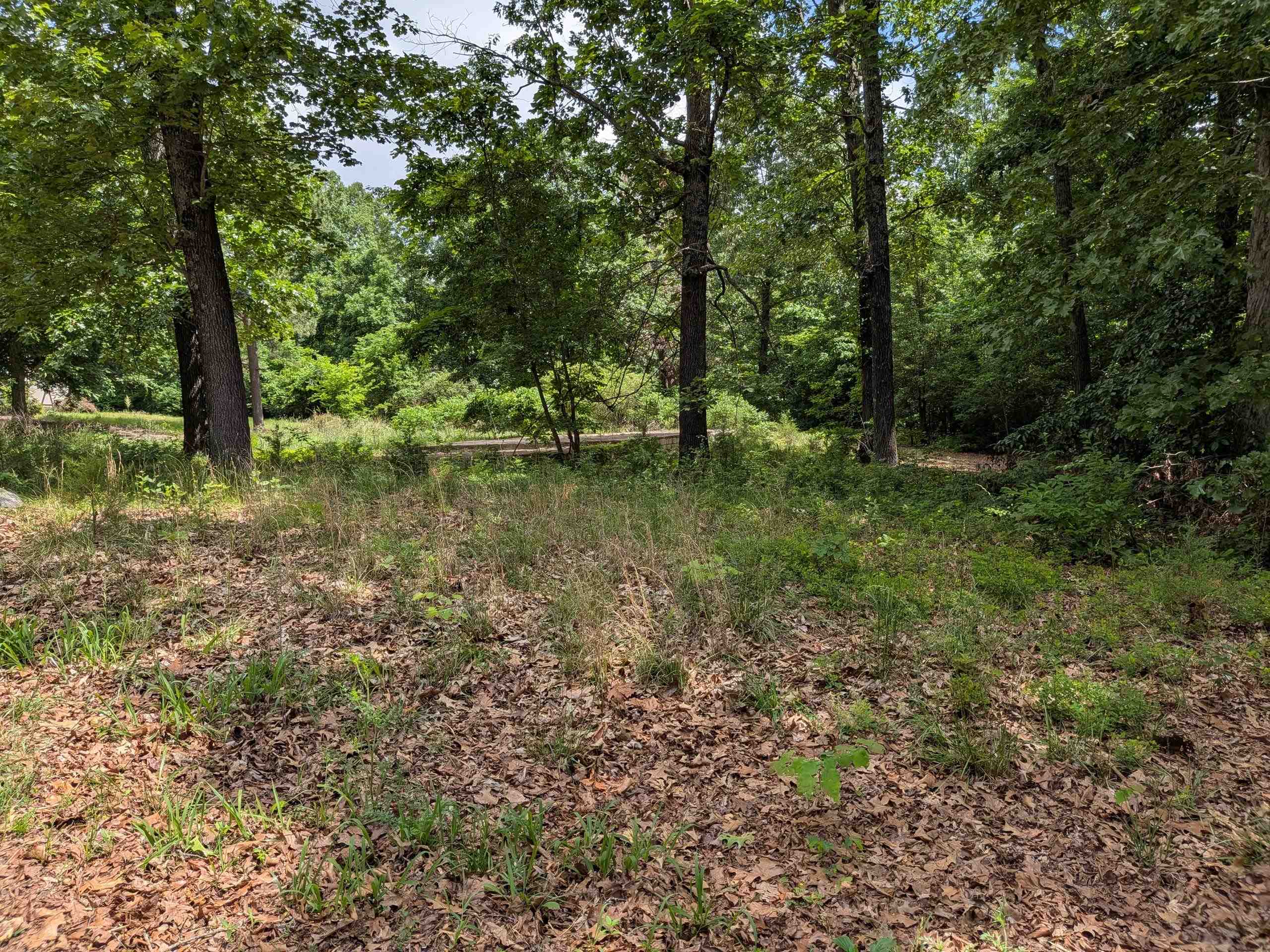 Dogwood Trail Property Photo 8