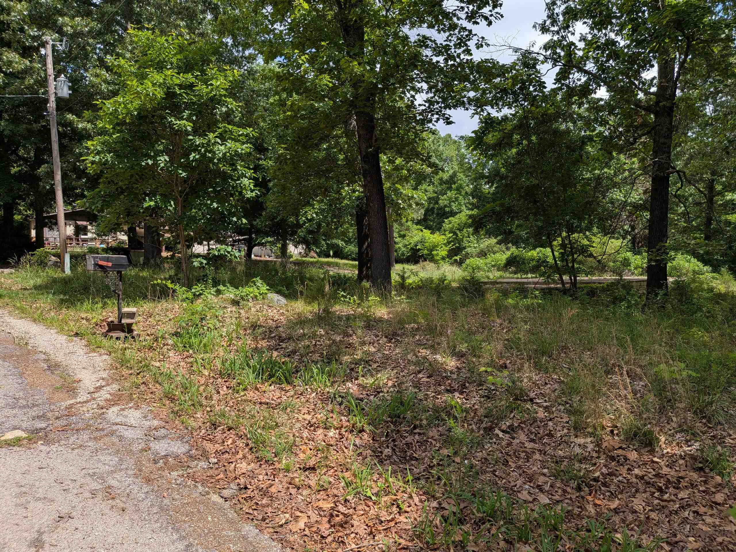 Dogwood Trail Property Photo 9