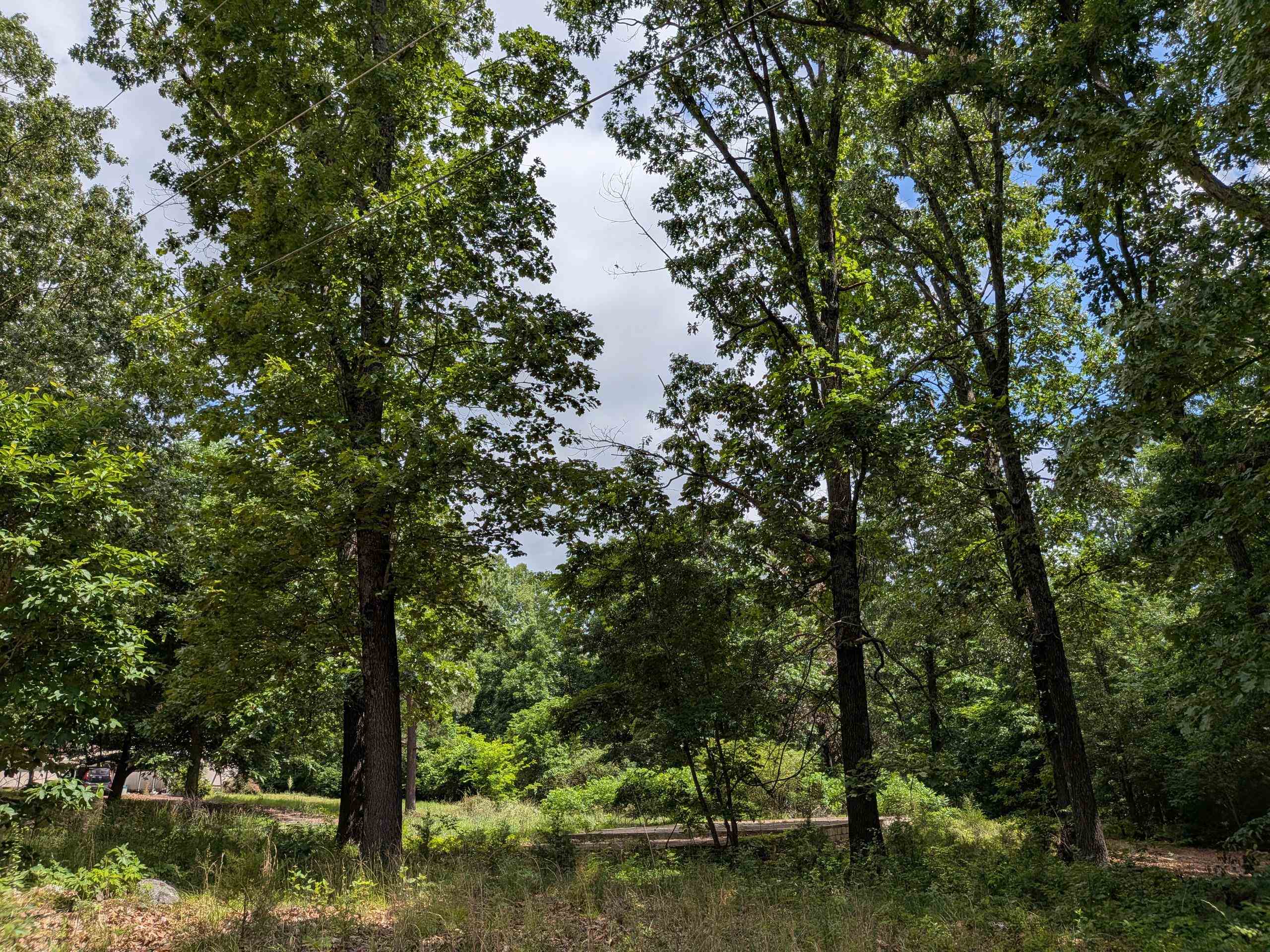 Dogwood Trail Property Photo 10