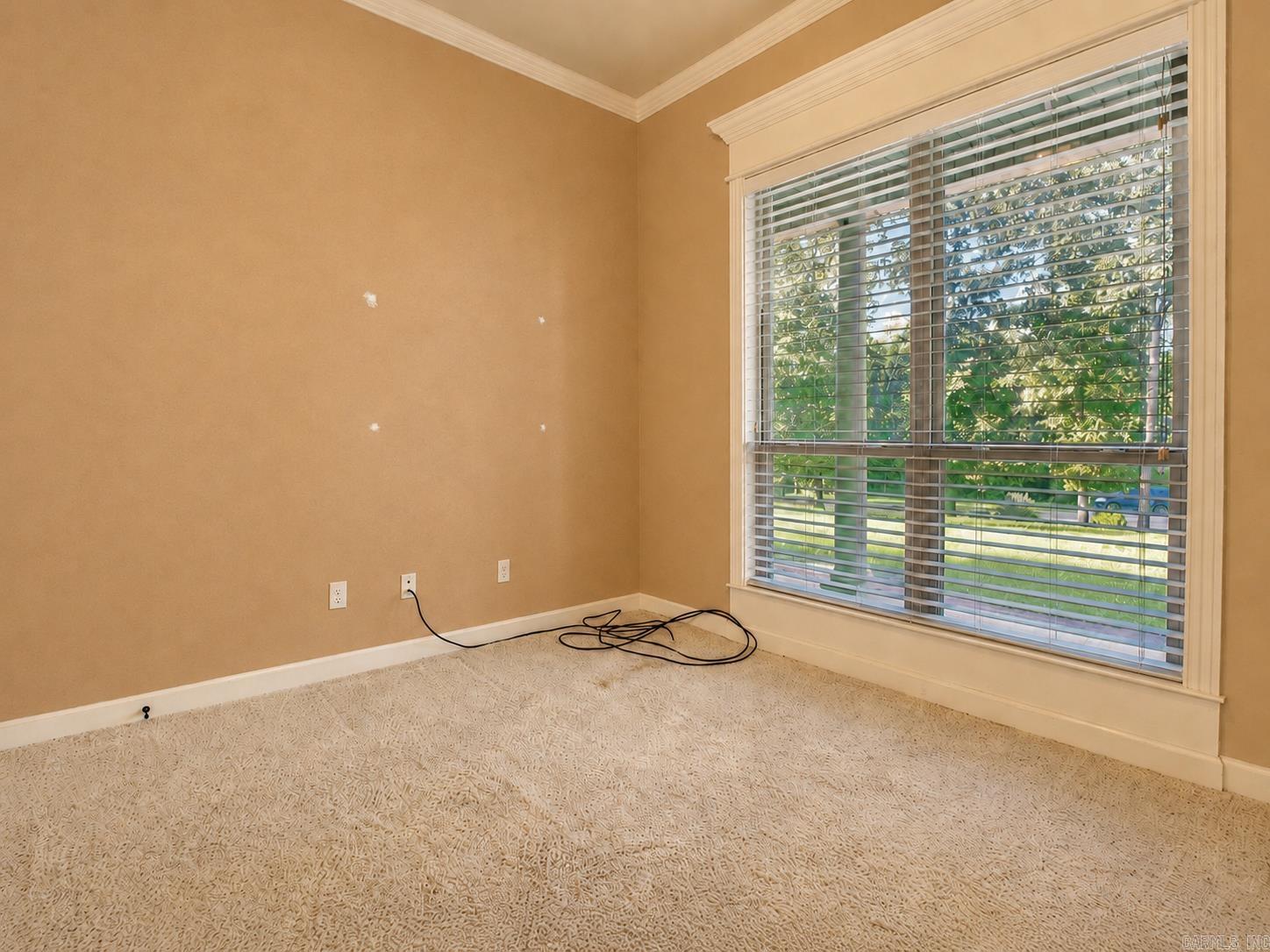 8423 Wolf Creek Ct Property Photo 14