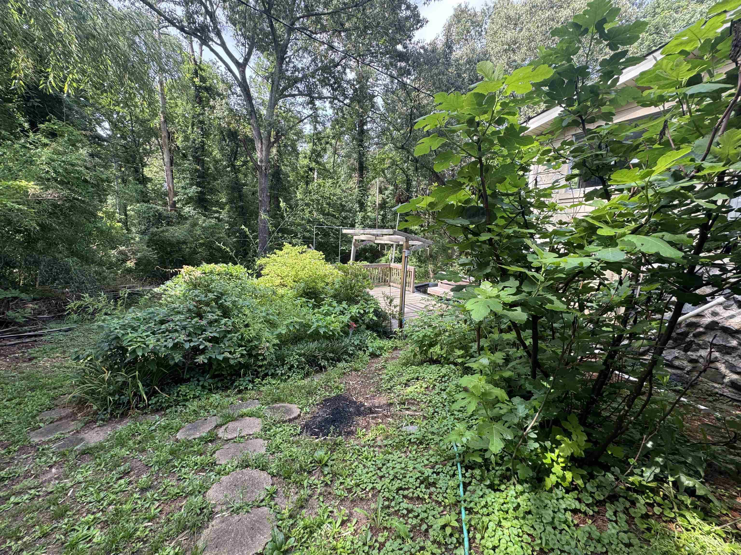 3115 Garniece Drive Property Photo 18