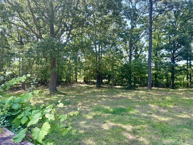 24315 Hwy 365 N Property Photo 20