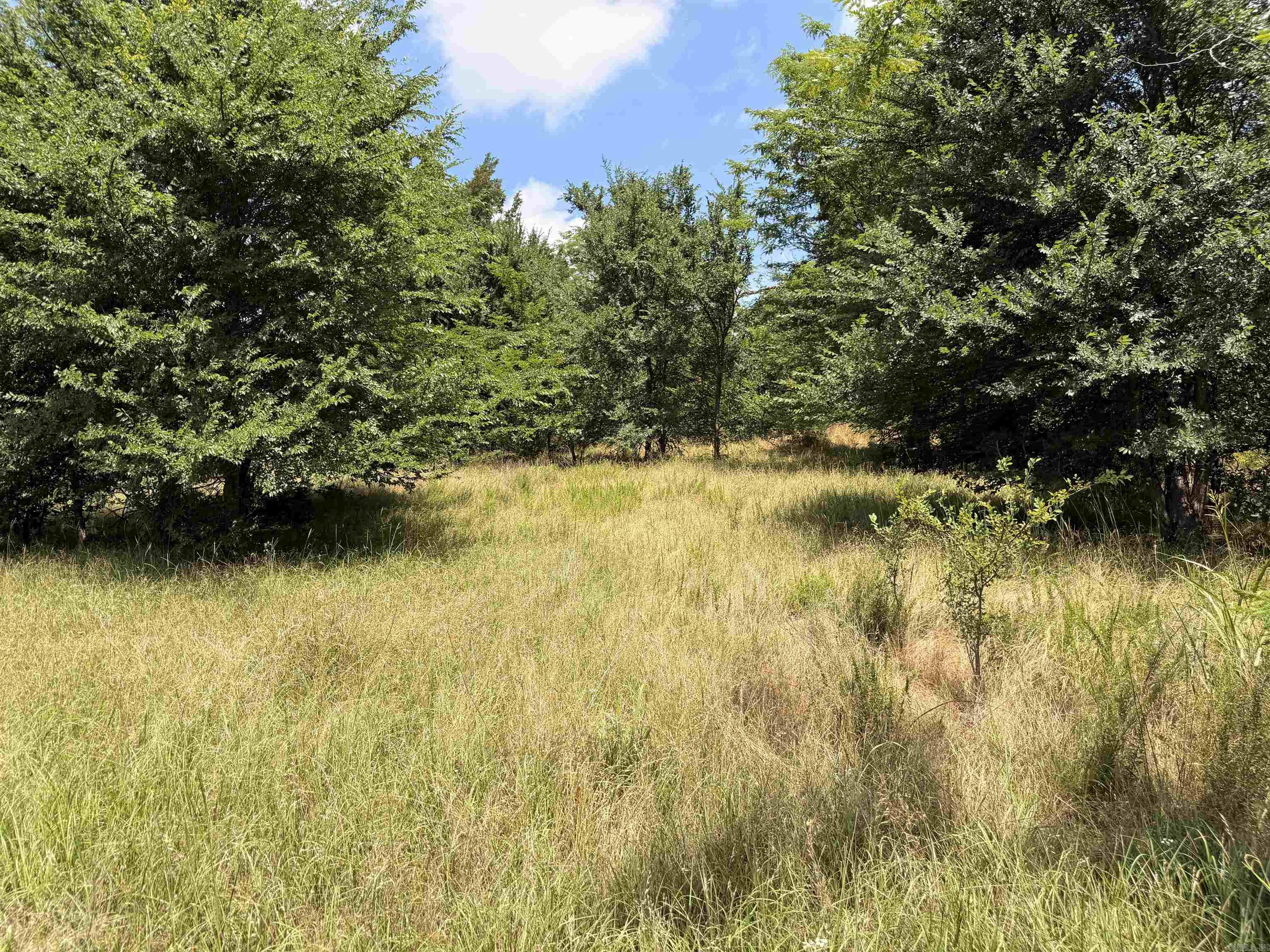 00 Easement Road Property Photo 6