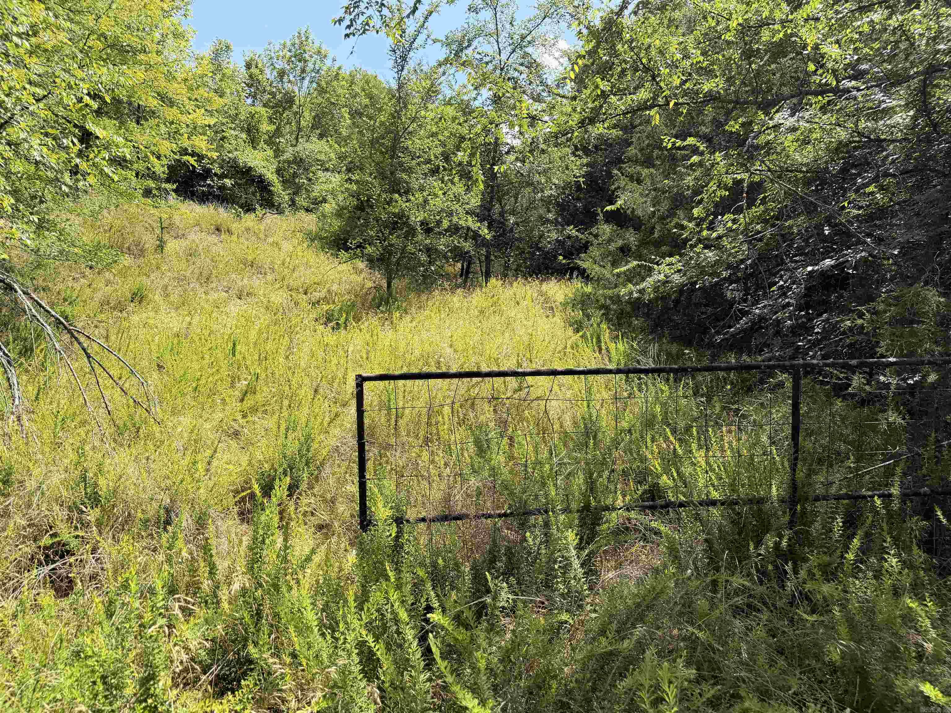 00 Easement Road Property Photo 9