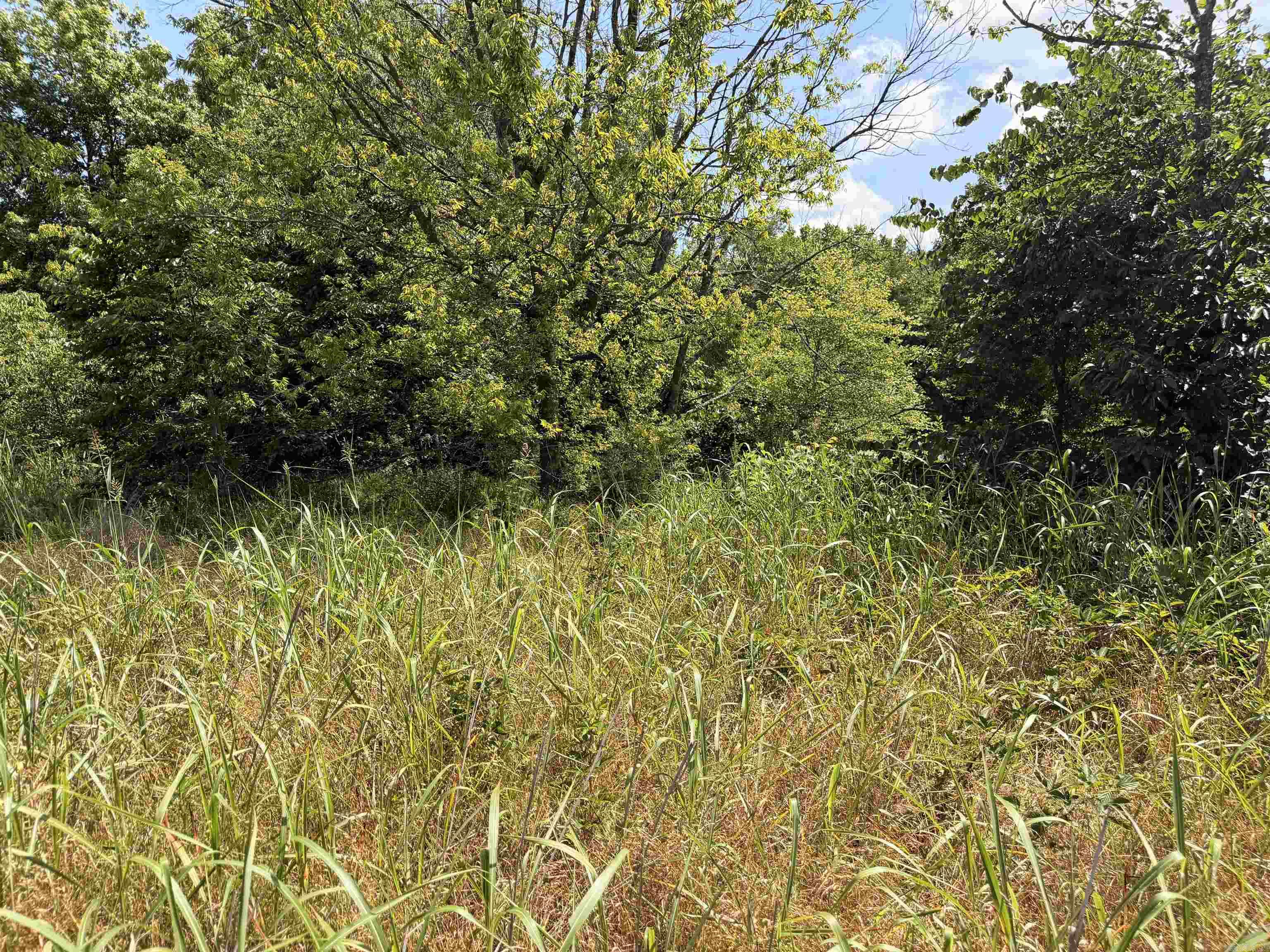 00 Easement Road Property Photo 15