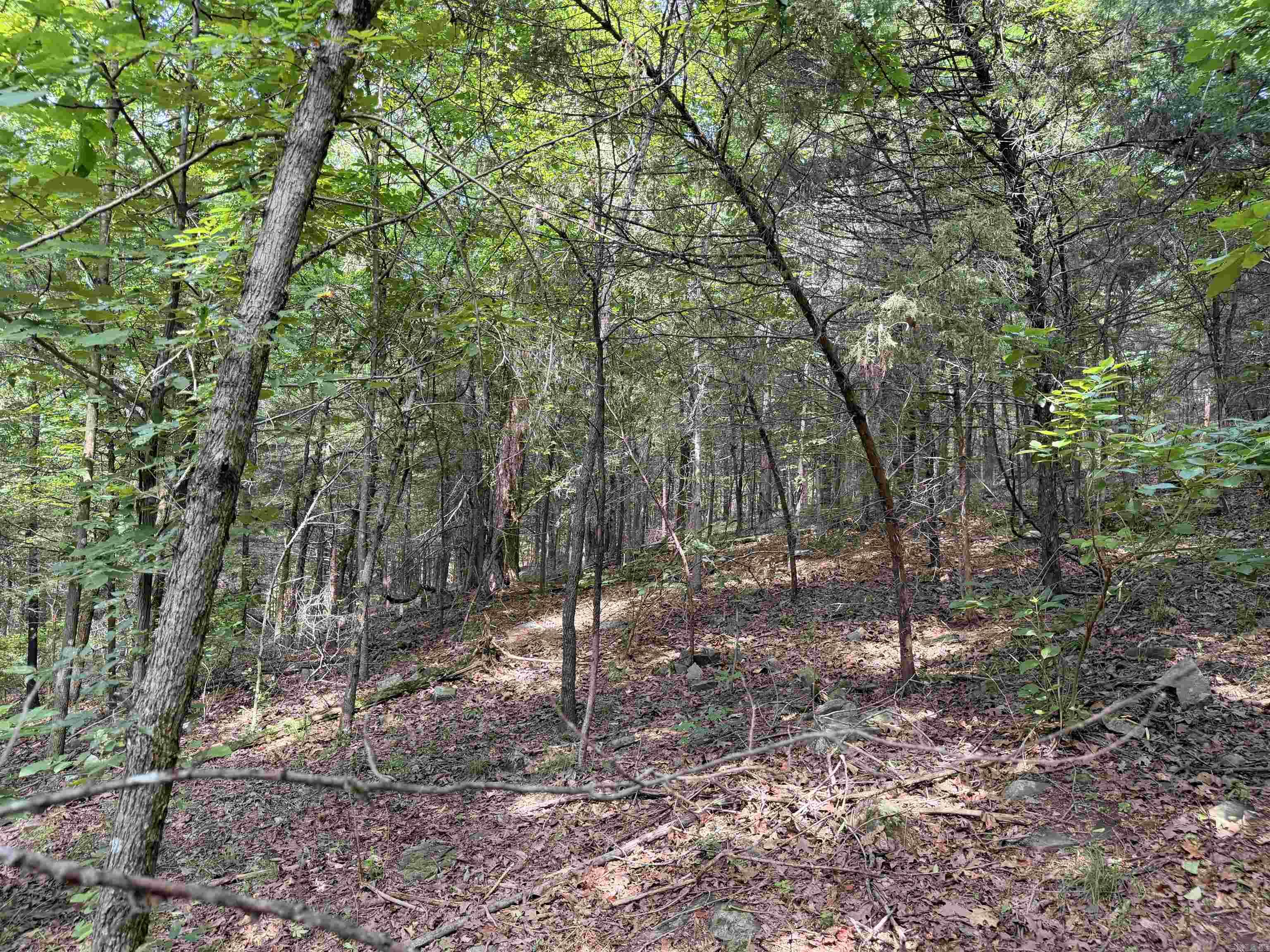 00 Easement Road Property Photo 20
