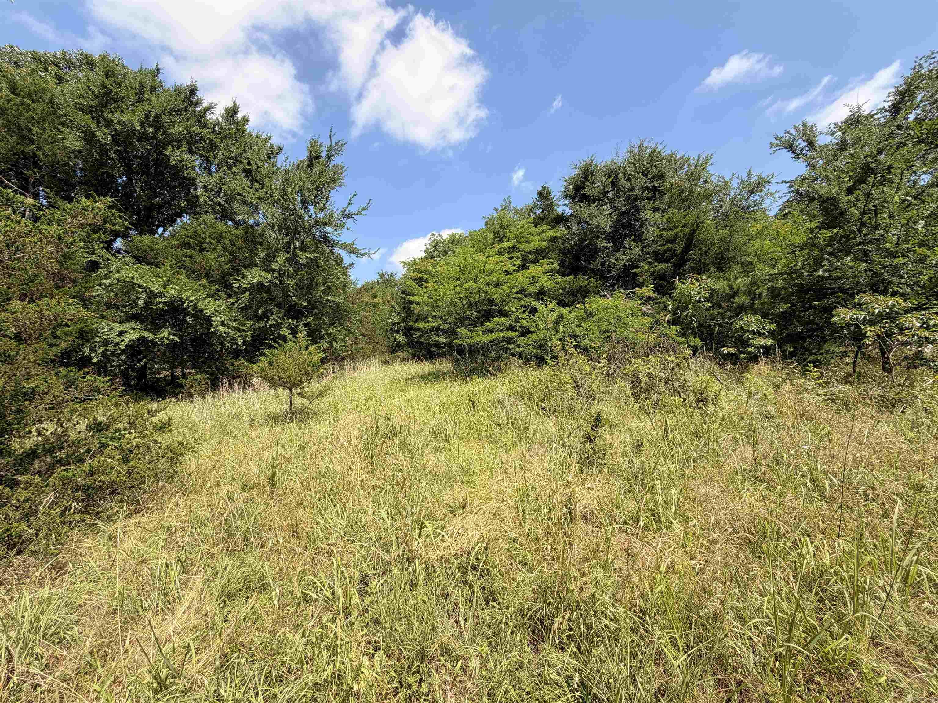 00 Easement Road Property Photo 21