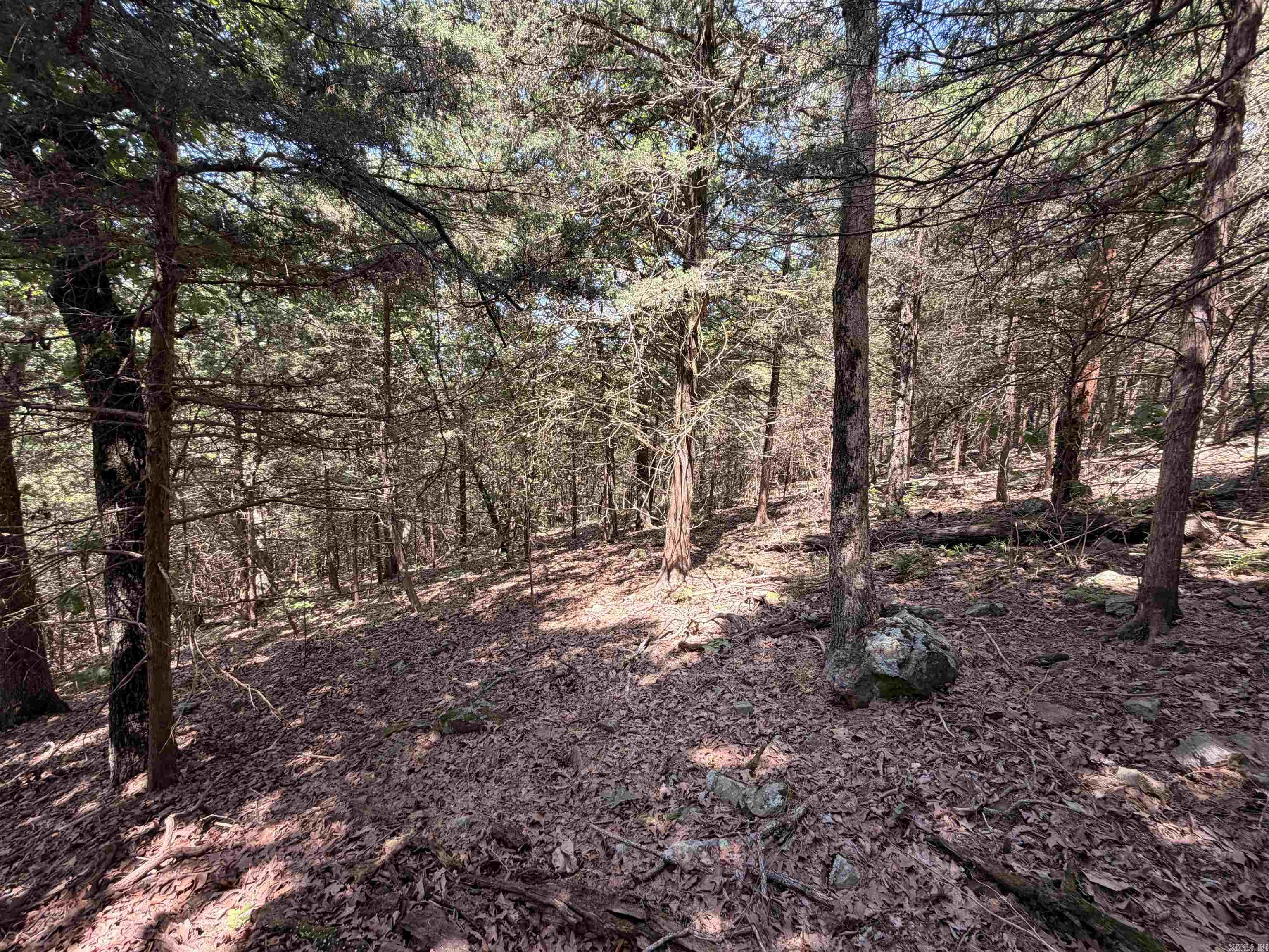 00 Easement Road Property Photo 22