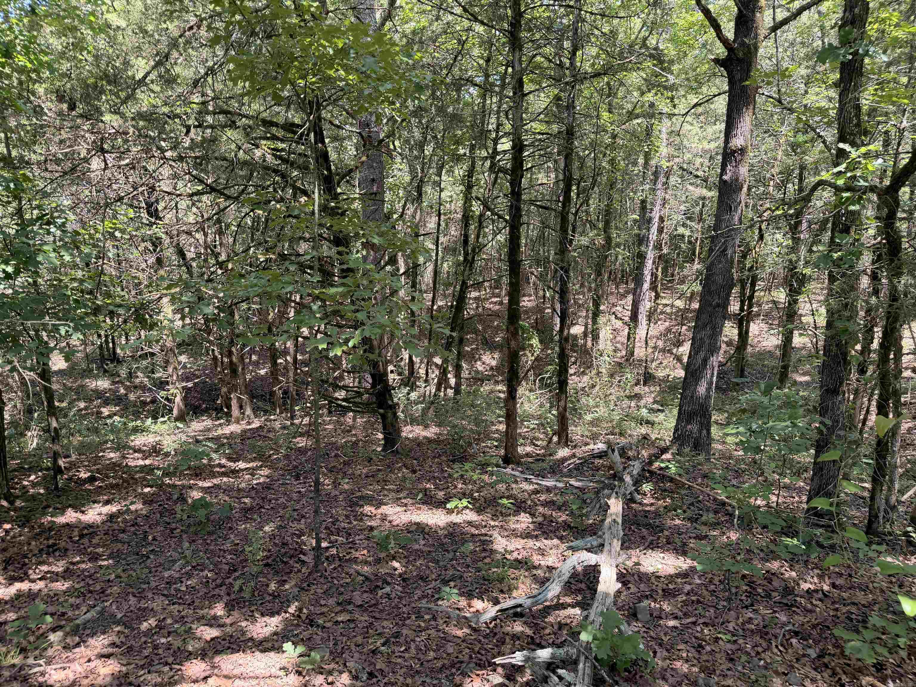 00 Easement Road Property Photo 23