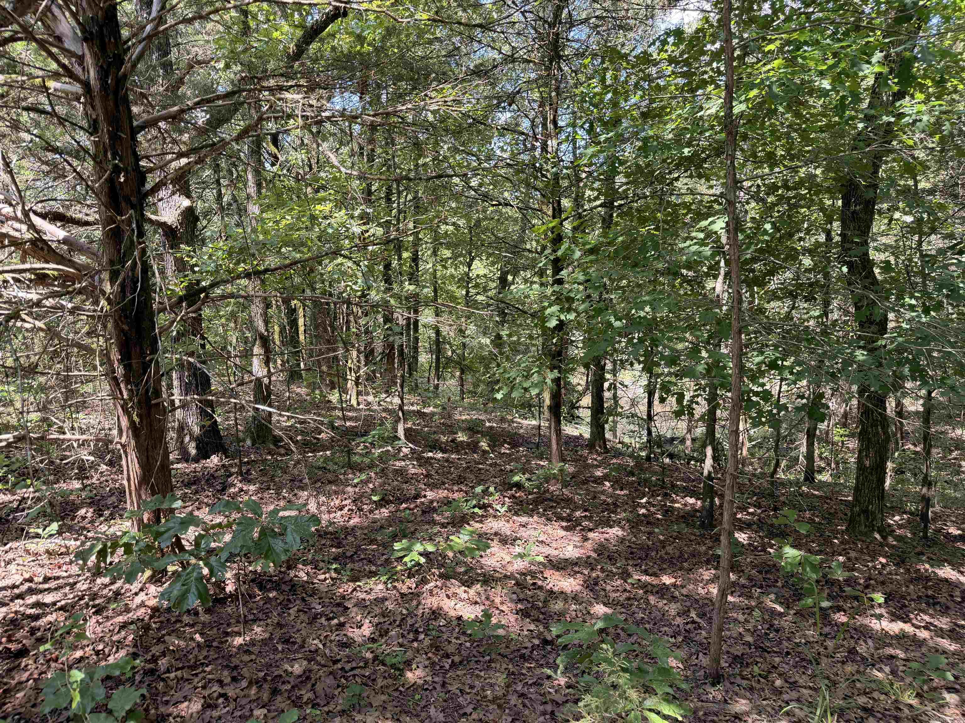 00 Easement Road Property Photo 24