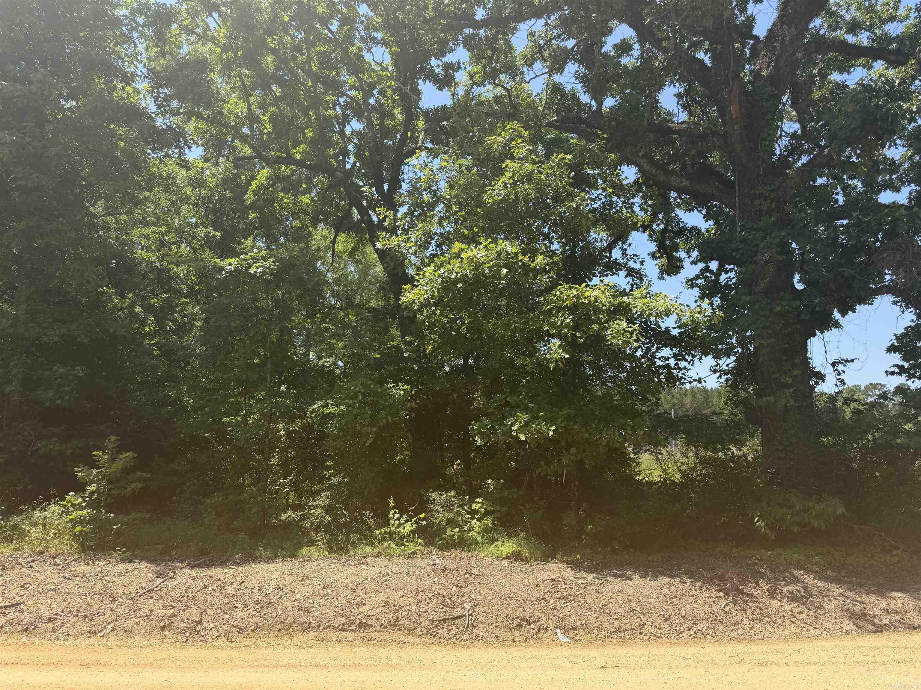 158 Sandy Creek Property Photo 4