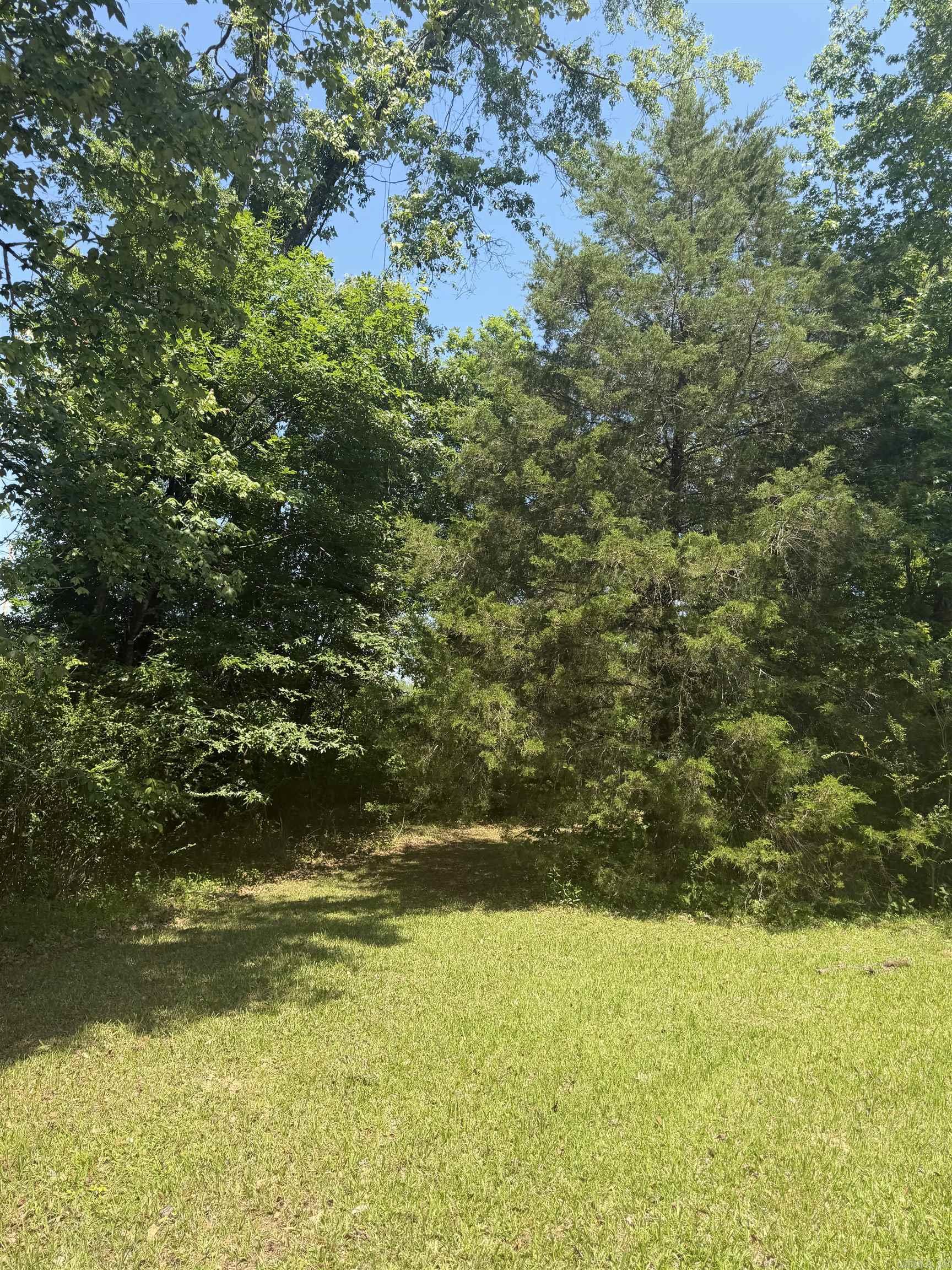 158 Sandy Creek Property Photo 9