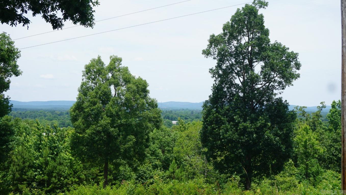 2251 (2332) Hwy 27 North (kirby) Property Photo 25