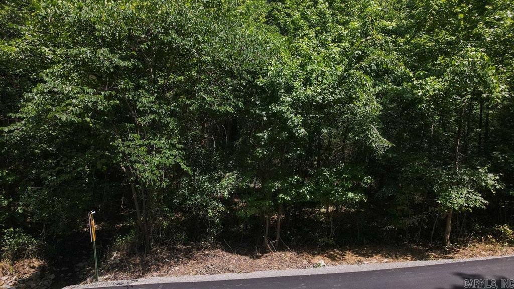 00 Wilderness Road Property Photo 2