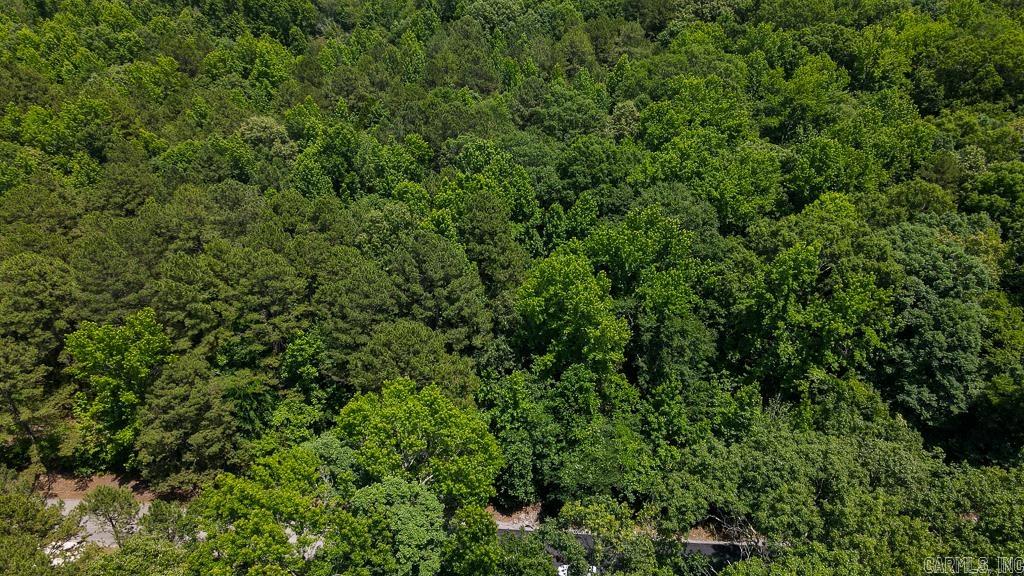 00 Wilderness Road Property Photo 4