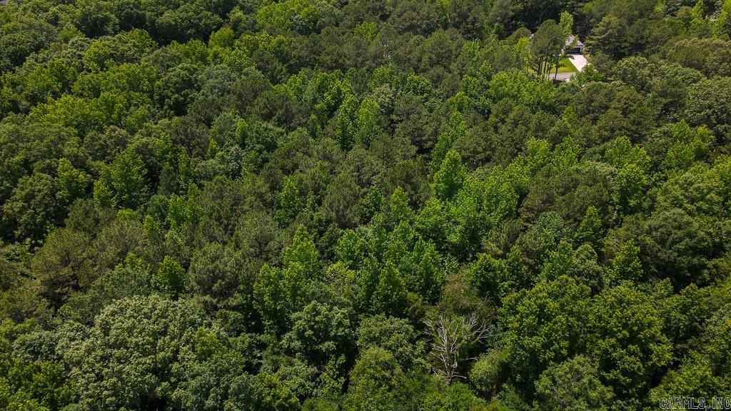 00 Wilderness Road Property Photo 5