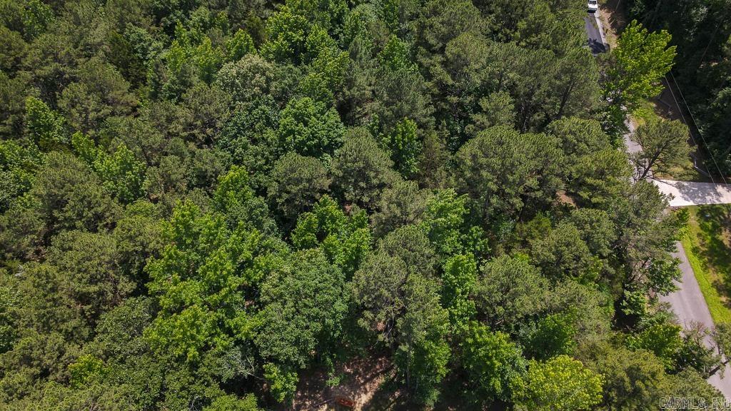 00 Wilderness Road Property Photo 6