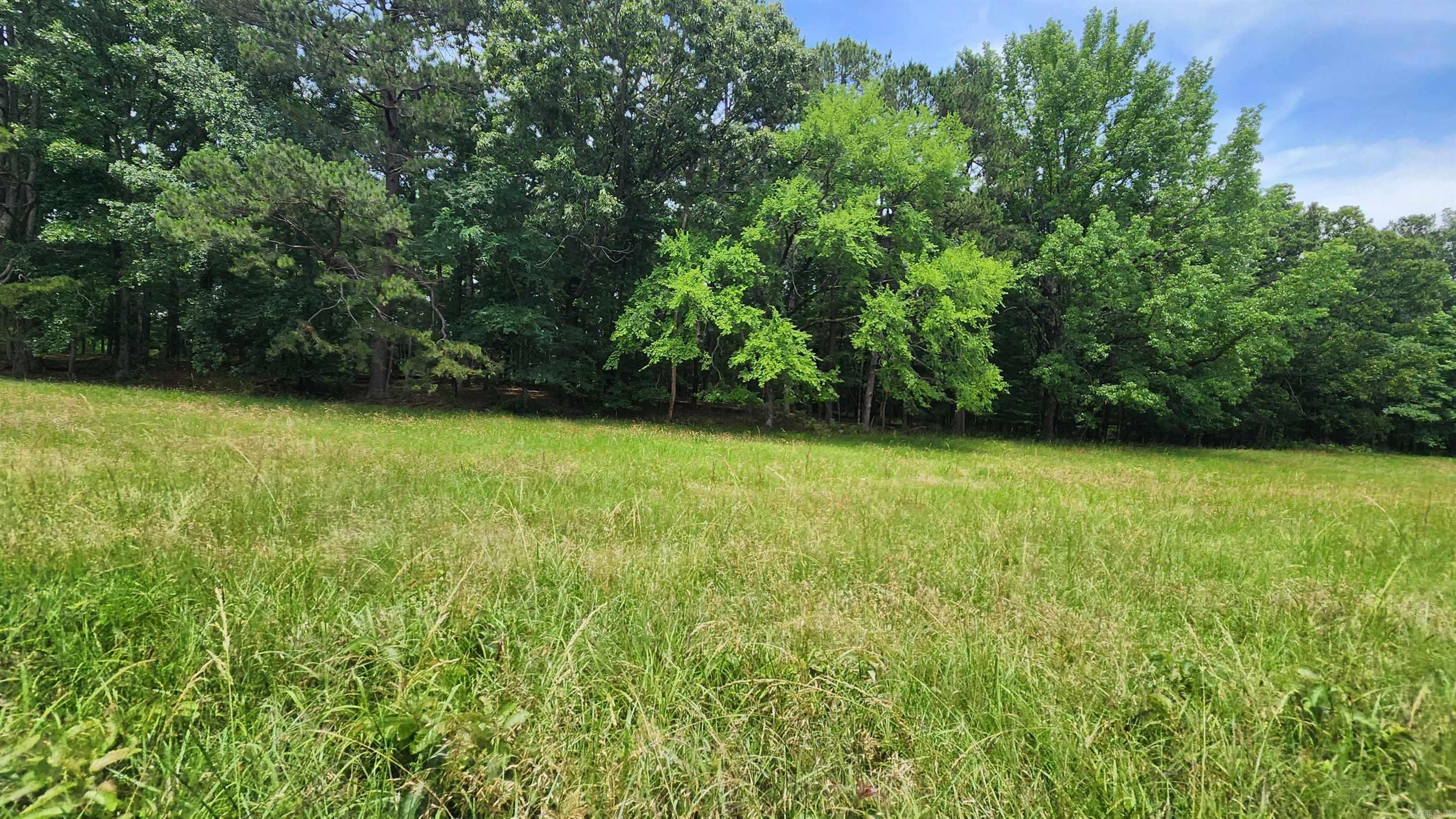 1108 Owley Road Property Photo 6