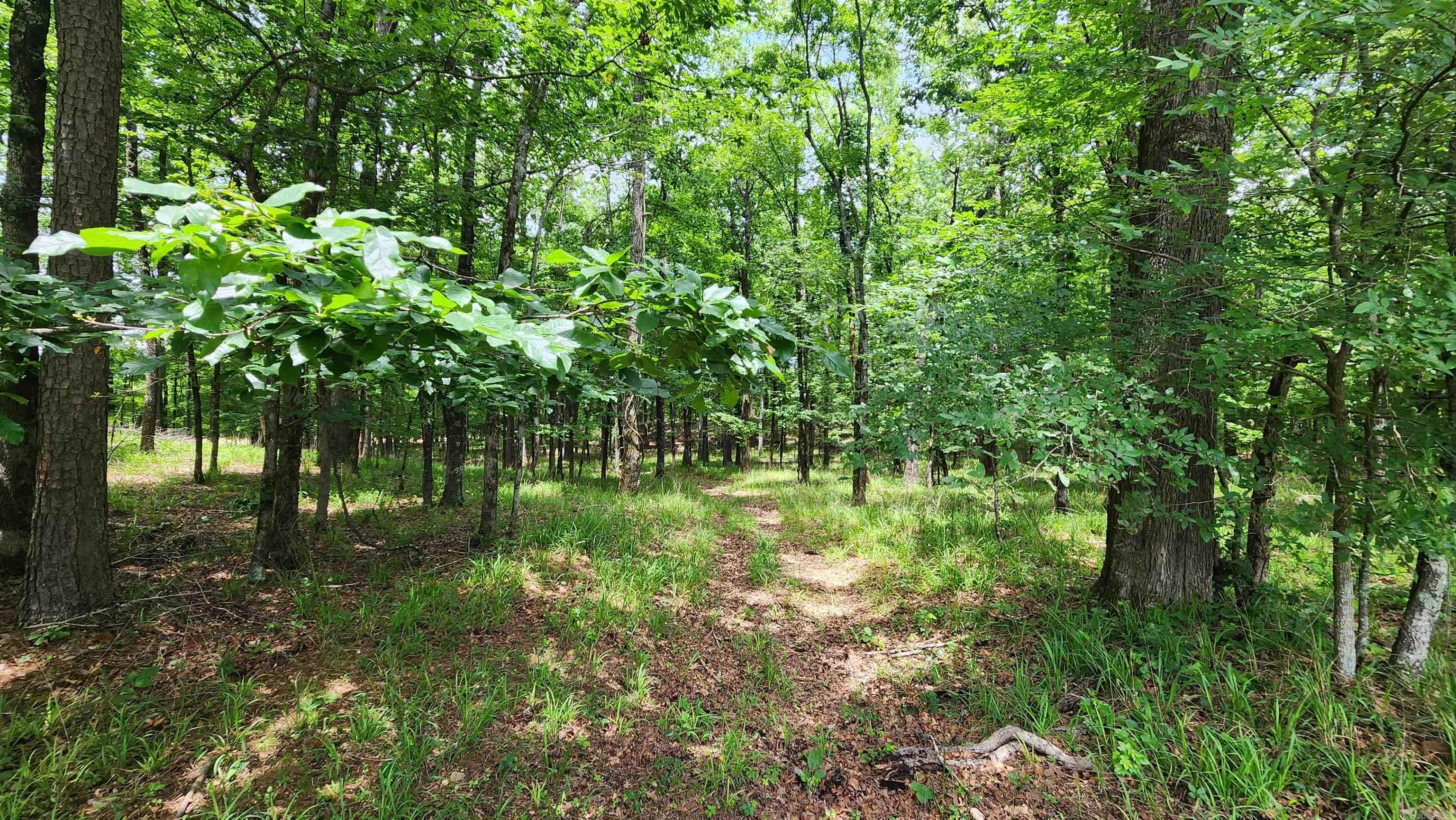 1108 Owley Road Property Photo 11