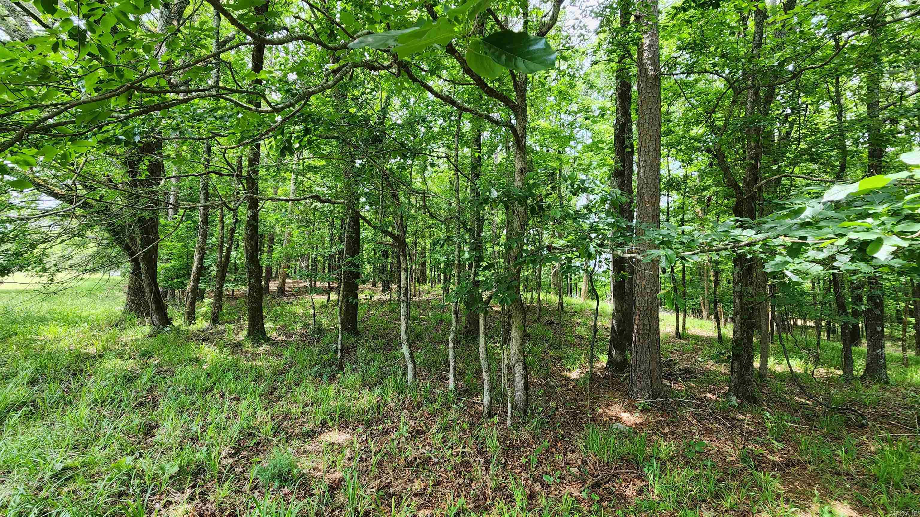 1108 Owley Road Property Photo 12