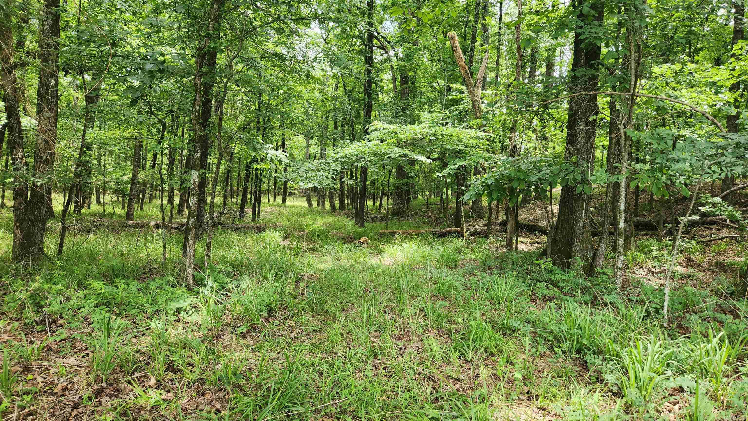 1108 Owley Road Property Photo 13