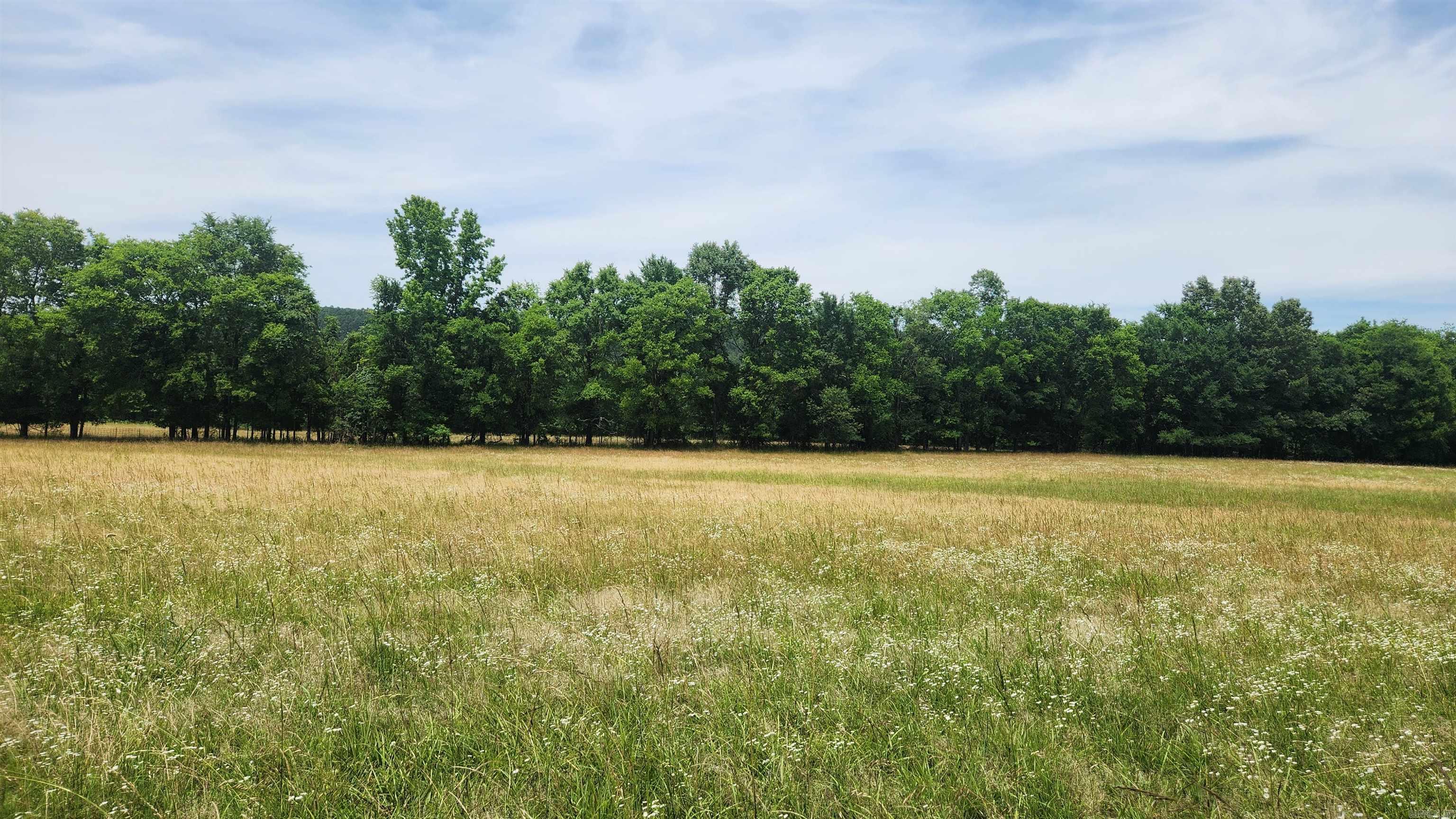 1108 Owley Road Property Photo 17