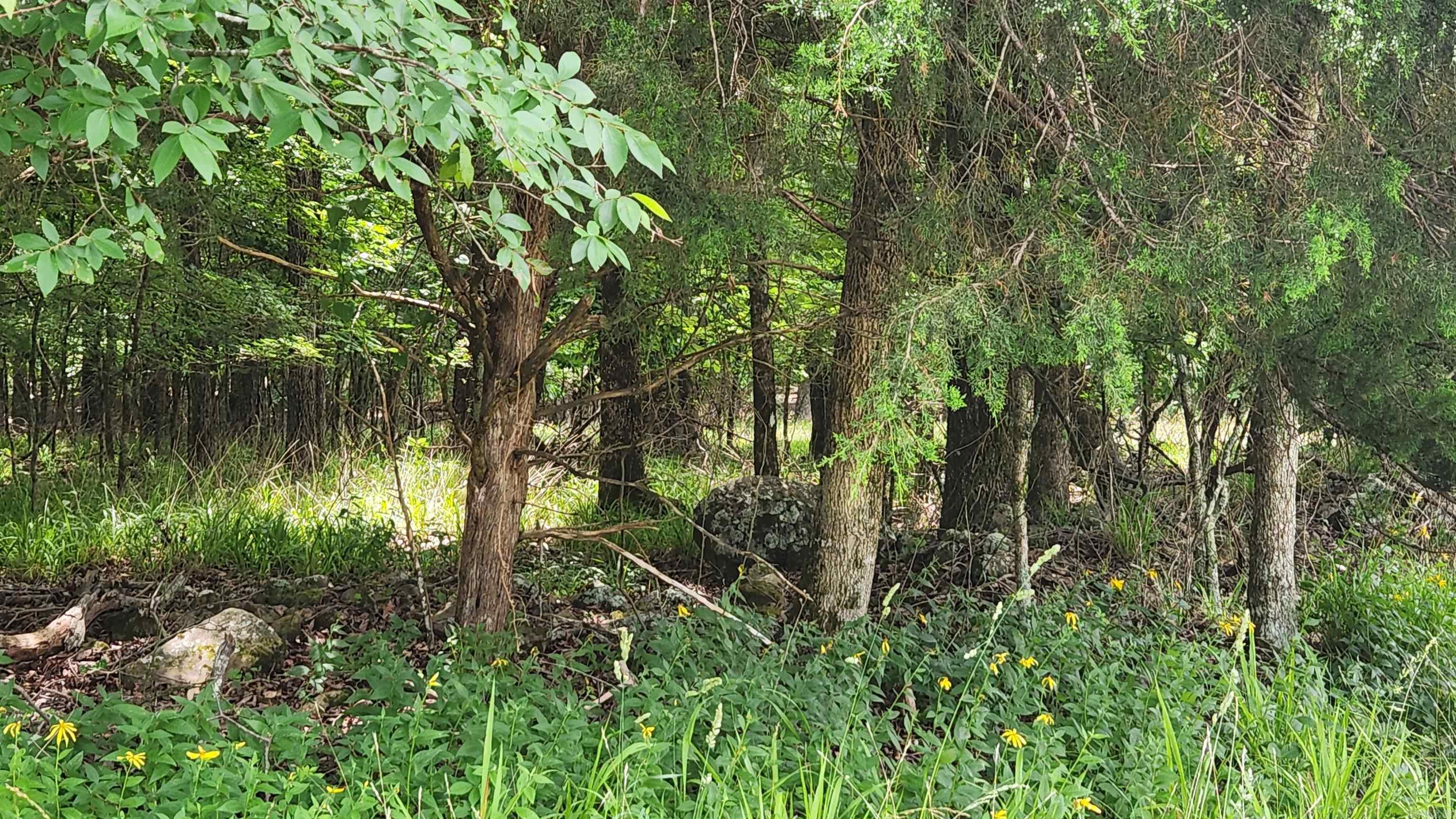 1108 Owley Road Property Photo 25