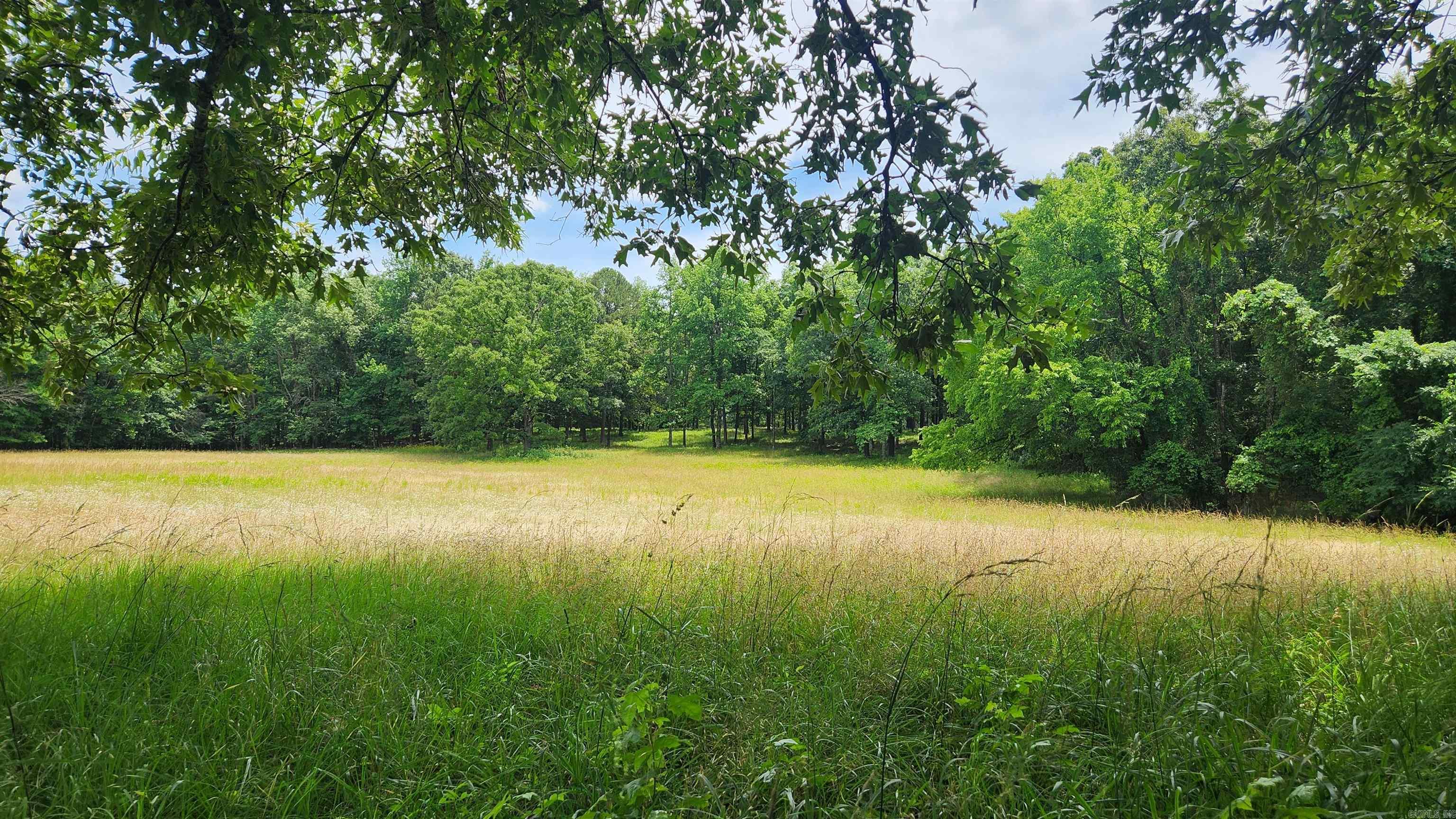 1108 Owley Road Property Photo 29