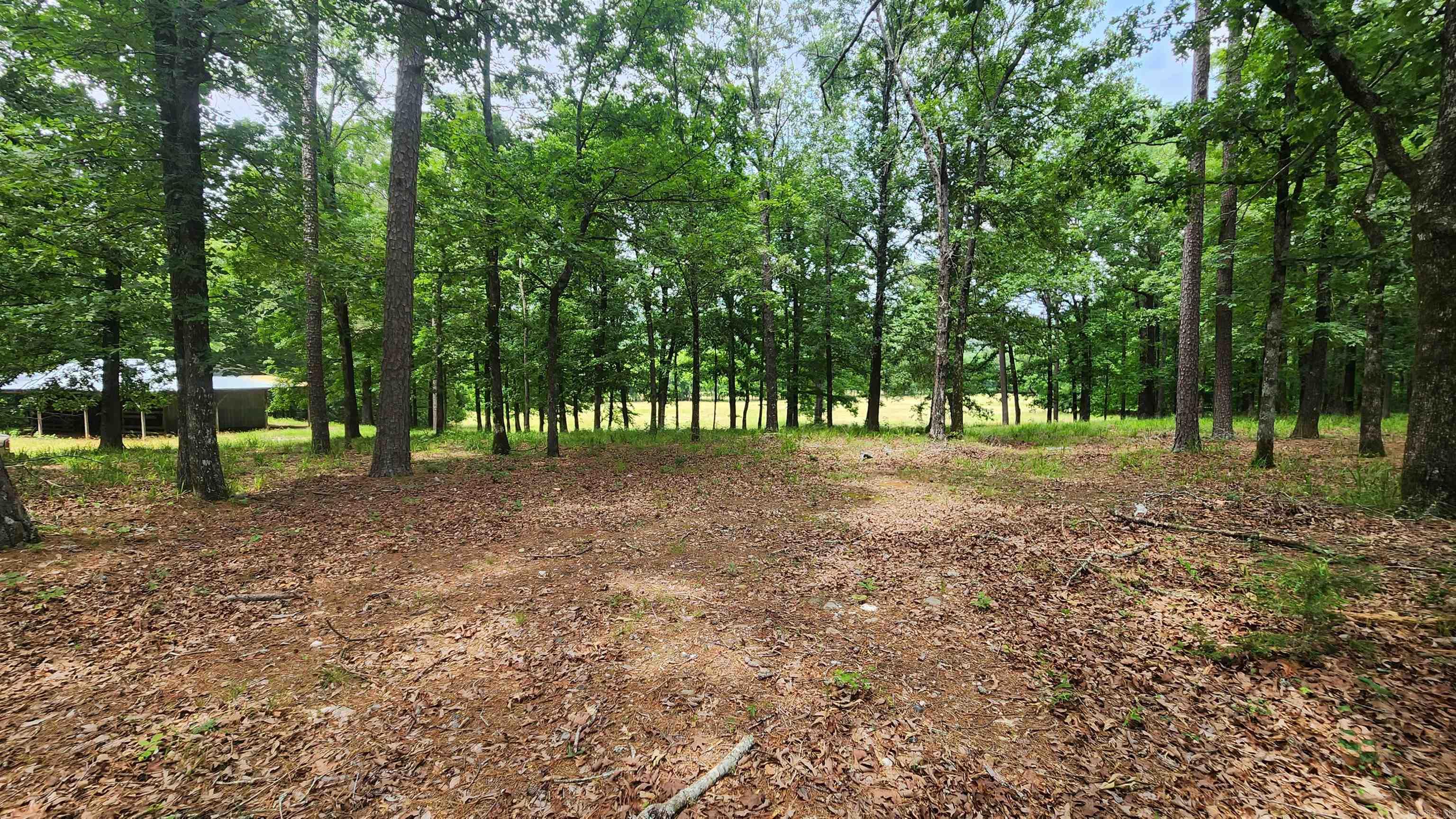 1108 Owley Road Property Photo 39