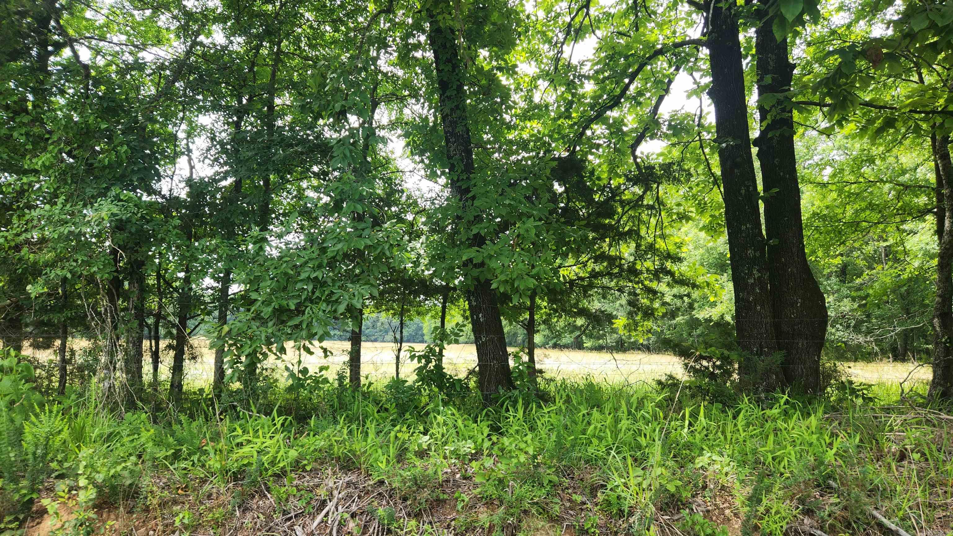 1108 Owley Road Property Photo 40