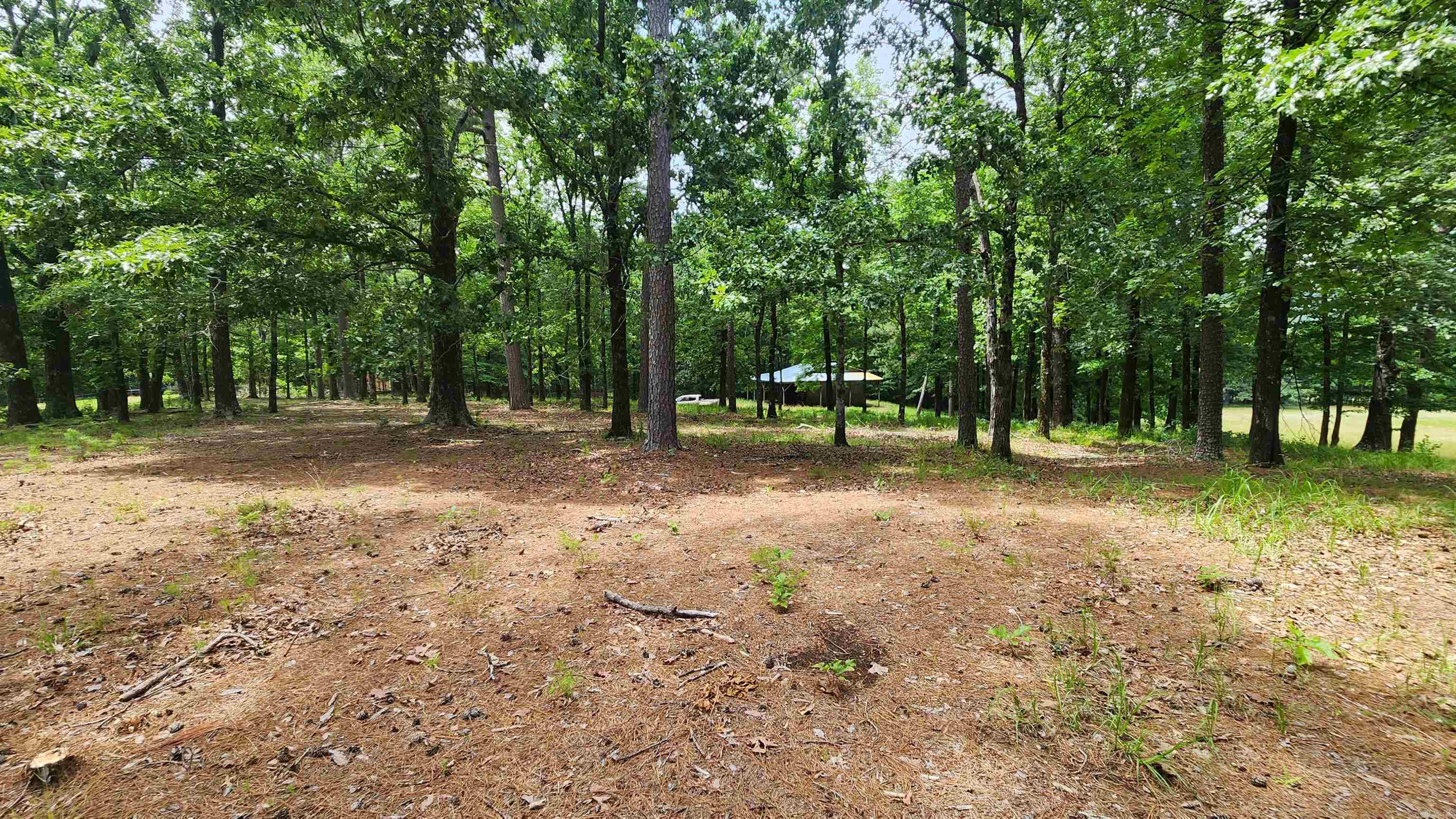 1108 Owley Road Property Photo 45