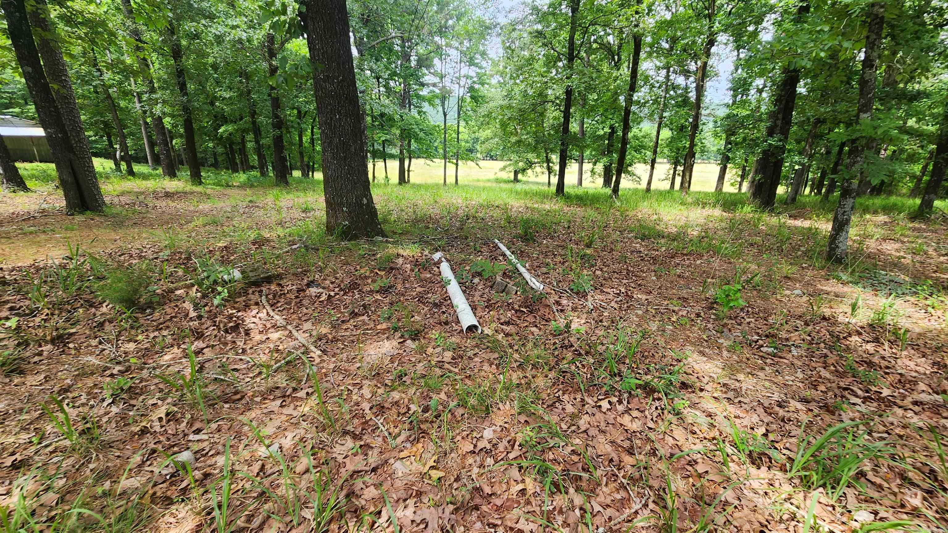 1108 Owley Road Property Photo 46