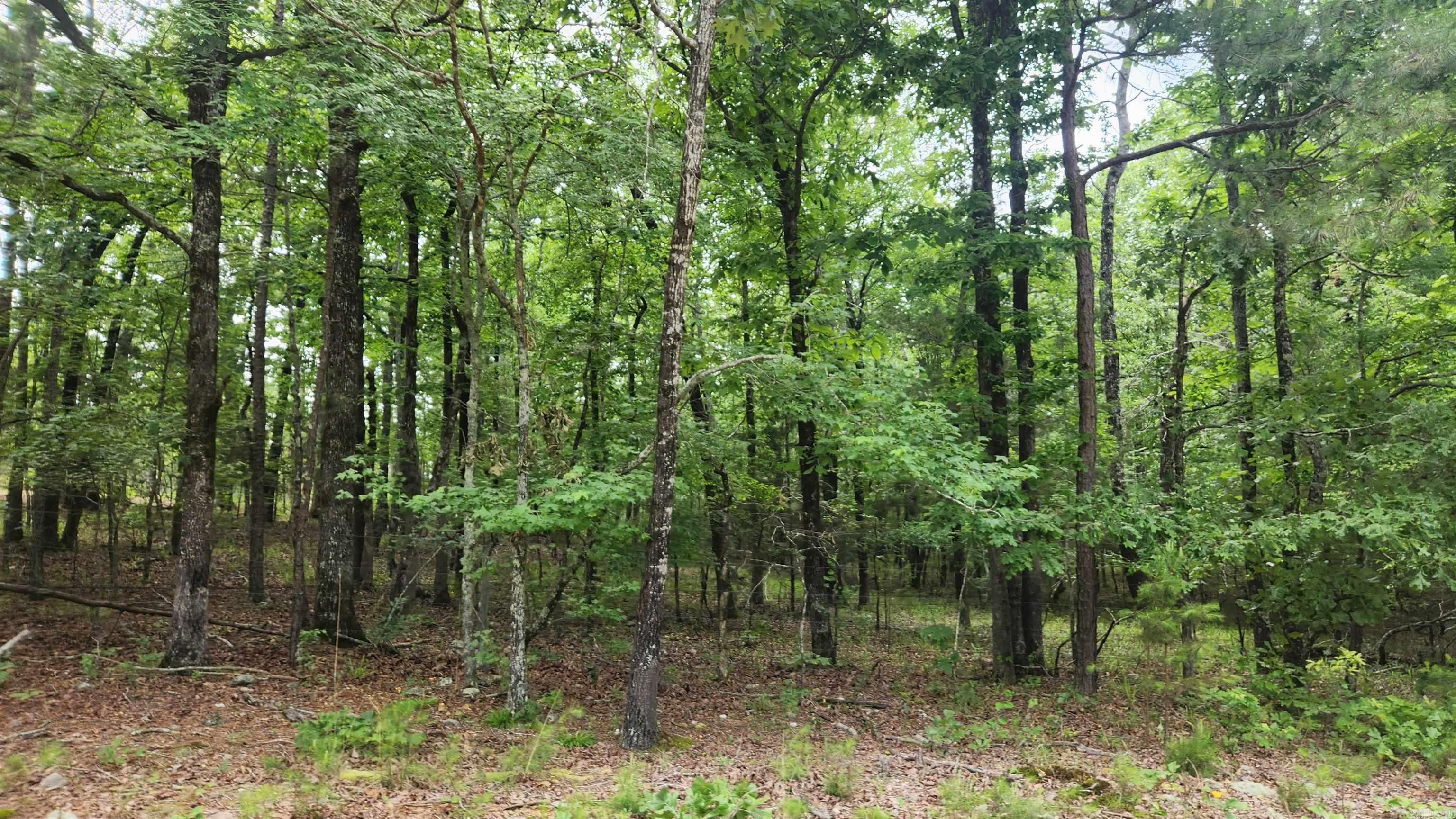 1108 Owley Road Property Photo 48