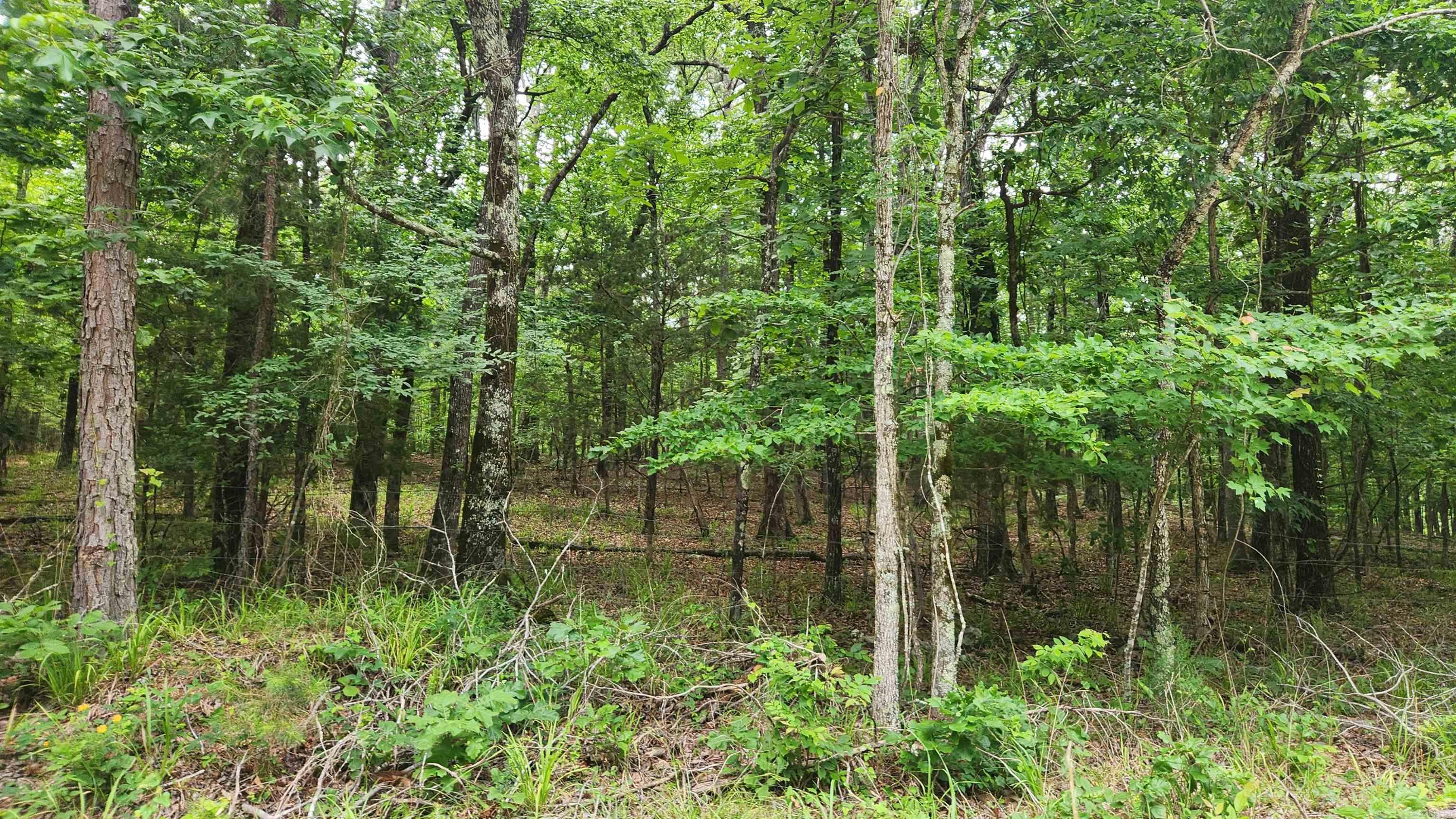 1108 Owley Road Property Photo 49