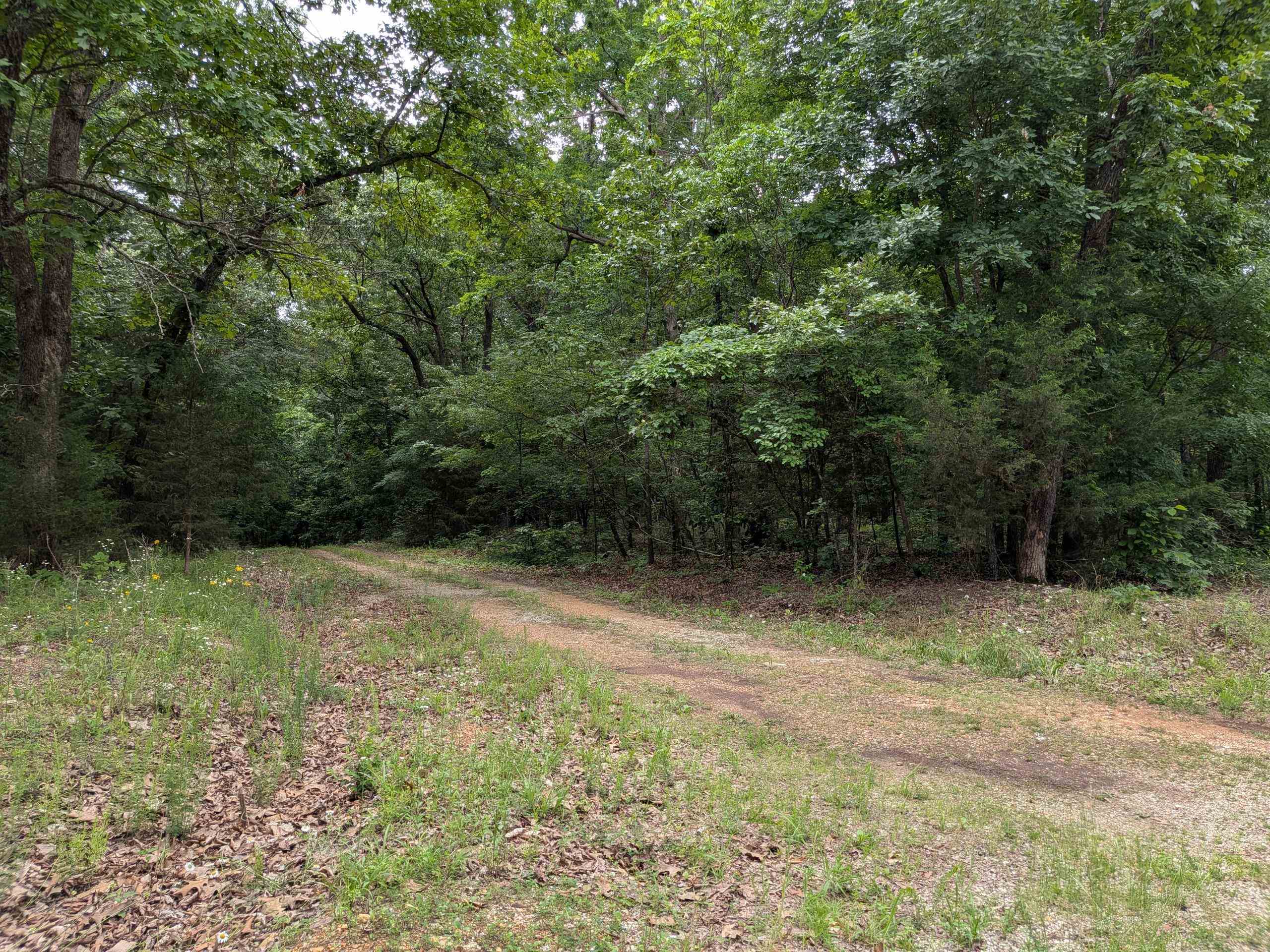 Kimberly Drive Property Photo 1