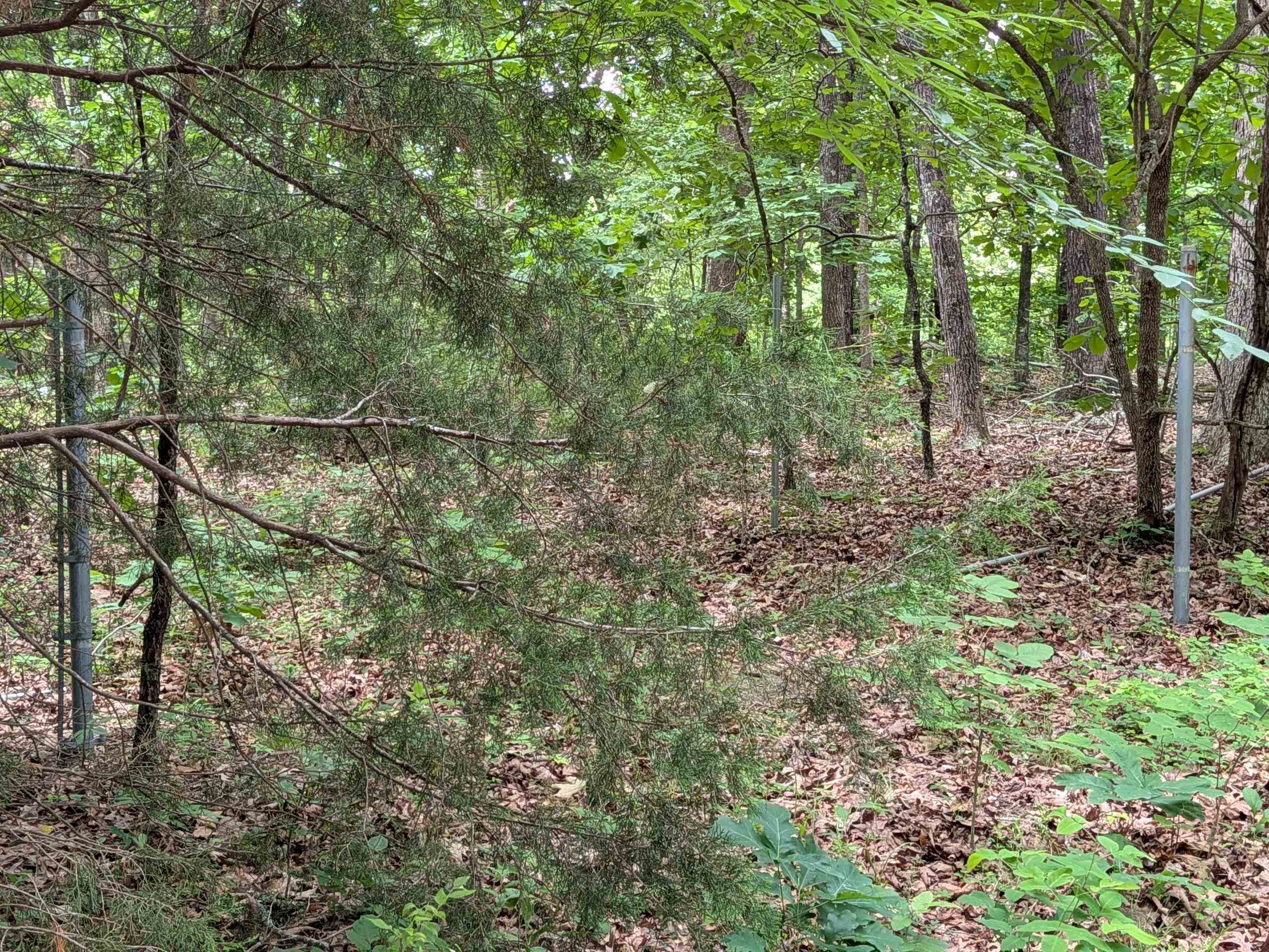 Kimberly Drive Property Photo 5
