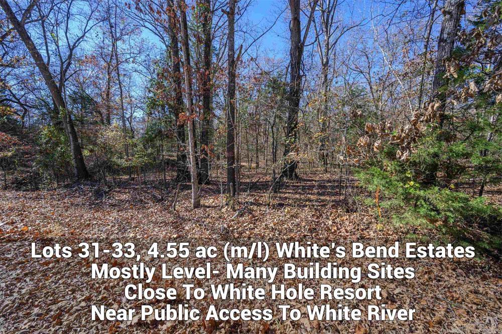 Lots 31-33 Mc7001 Road Property Photo 1