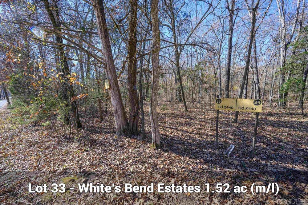Lots 31-33 Mc7001 Road Property Photo 2