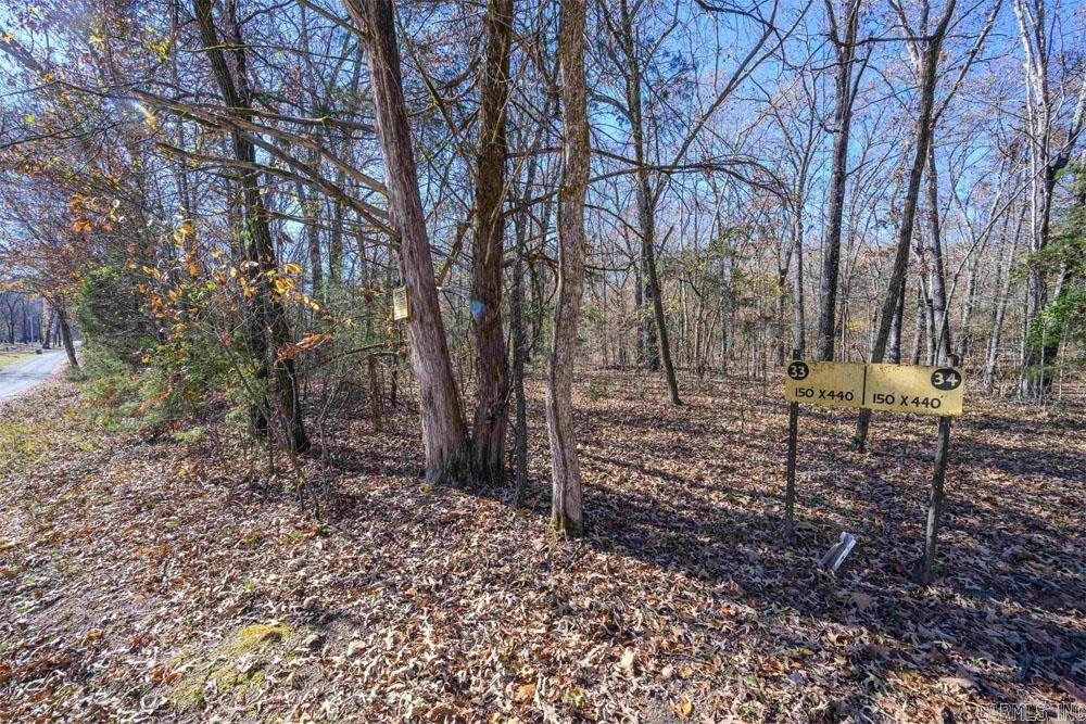 Lots 31-33 Mc7001 Road Property Photo 3