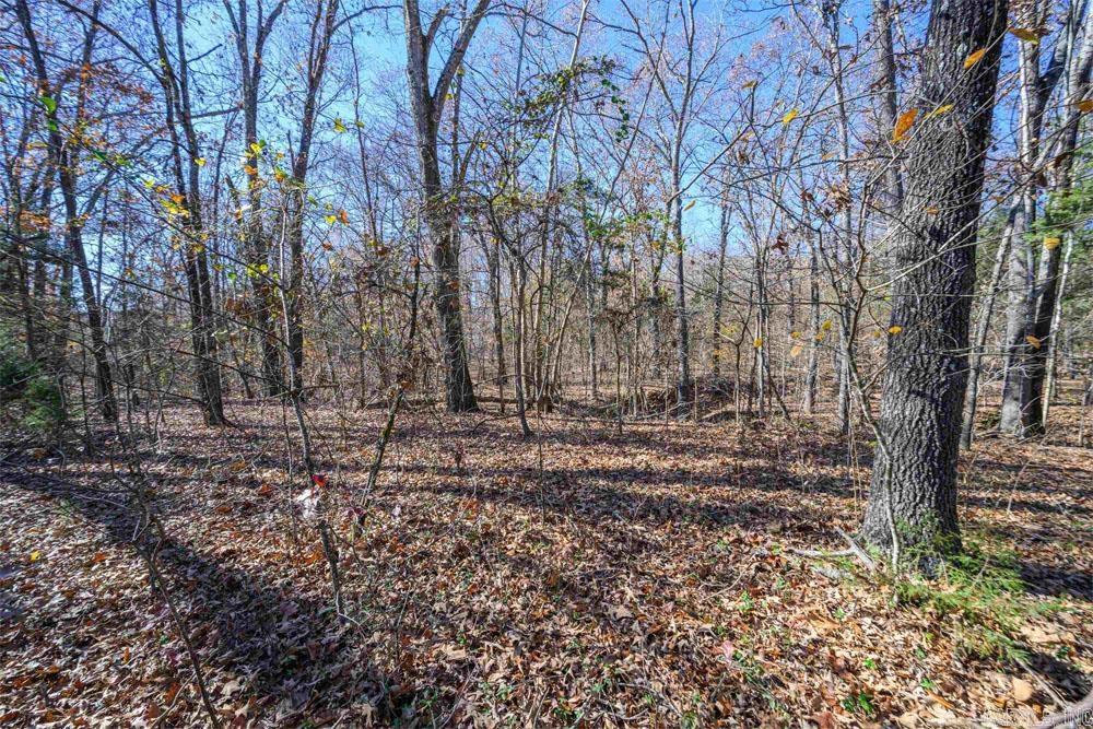 Lots 31-33 Mc7001 Road Property Photo 4
