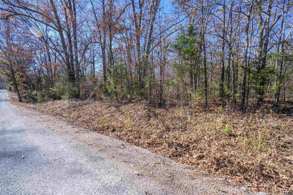 Lots 31-33 Mc7001 Road Property Photo 5