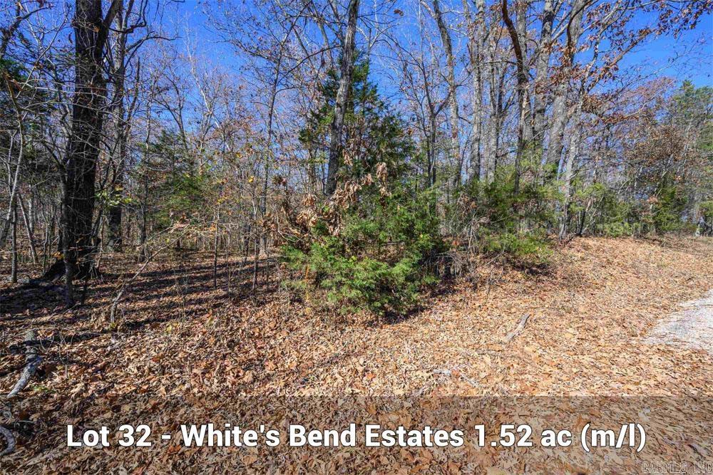 Lots 31-33 Mc7001 Road Property Photo 6