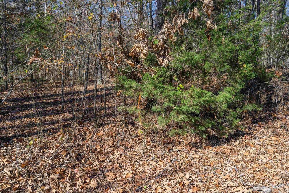 Lots 31-33 Mc7001 Road Property Photo 7