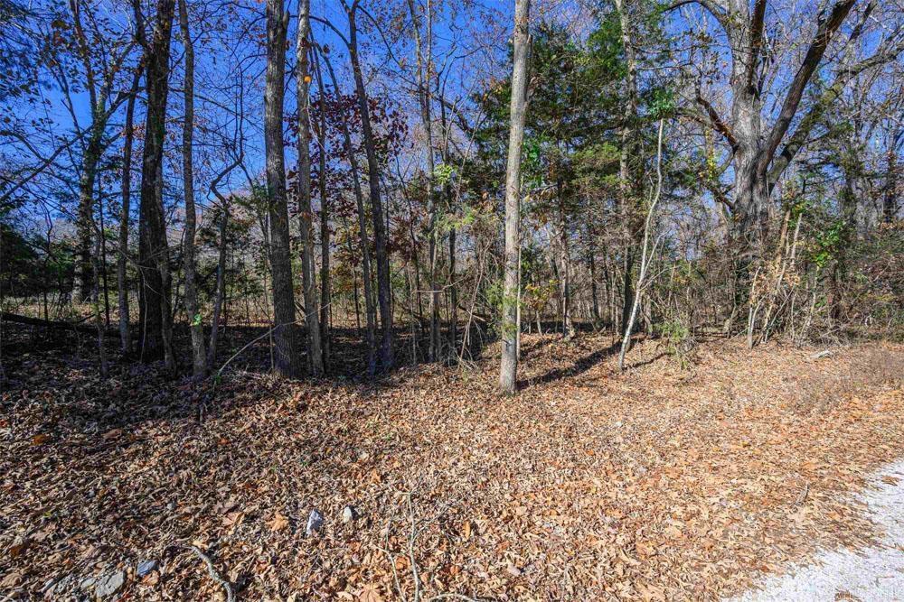 Lots 31-33 Mc7001 Road Property Photo 8